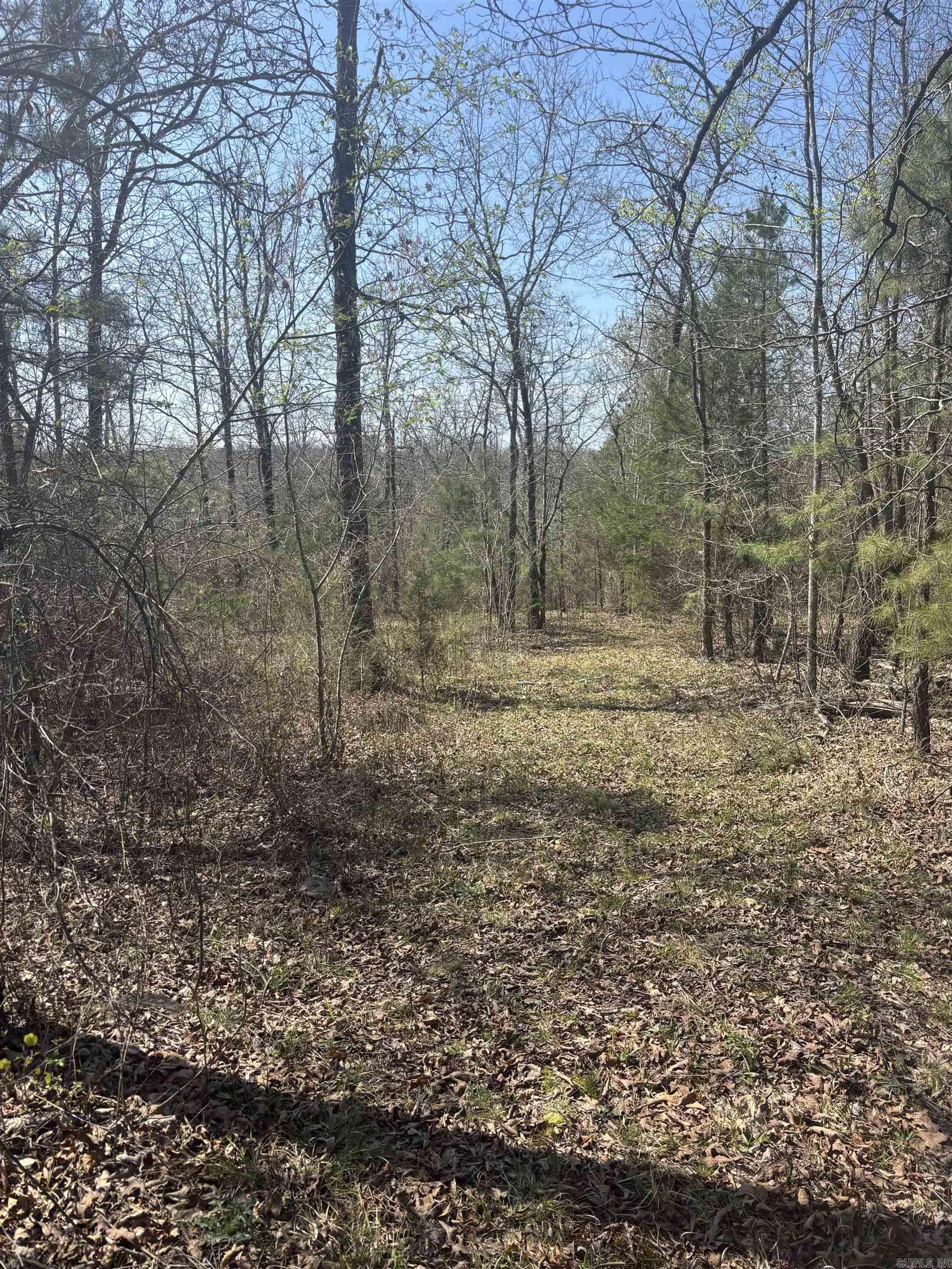 000 SW Bowling Road  Clinton, AR