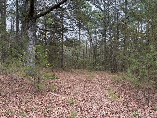 40 Acres FS RD 1436  Clarksville, AR