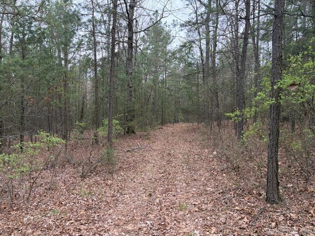 40 Acres FS RD 1436  Clarksville, AR