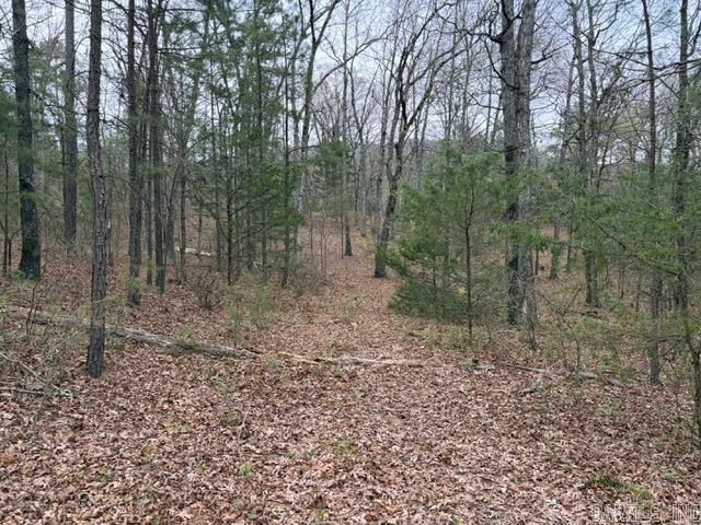 40 Acres FS RD 1436  Clarksville, AR