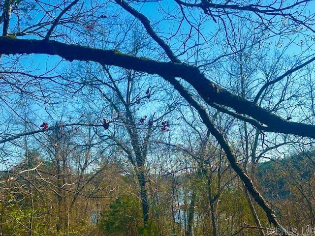 0 CR 8060  Yellville, AR