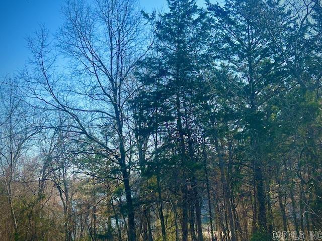 0 CR 8060  Yellville, AR