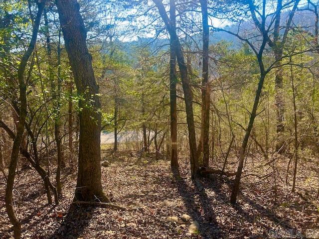 0 CR 8060  Yellville, AR