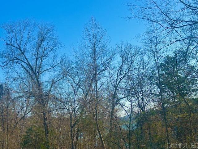 0 CR 8060  Yellville, AR