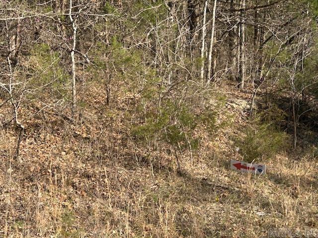 0 CR 8060  Yellville, AR