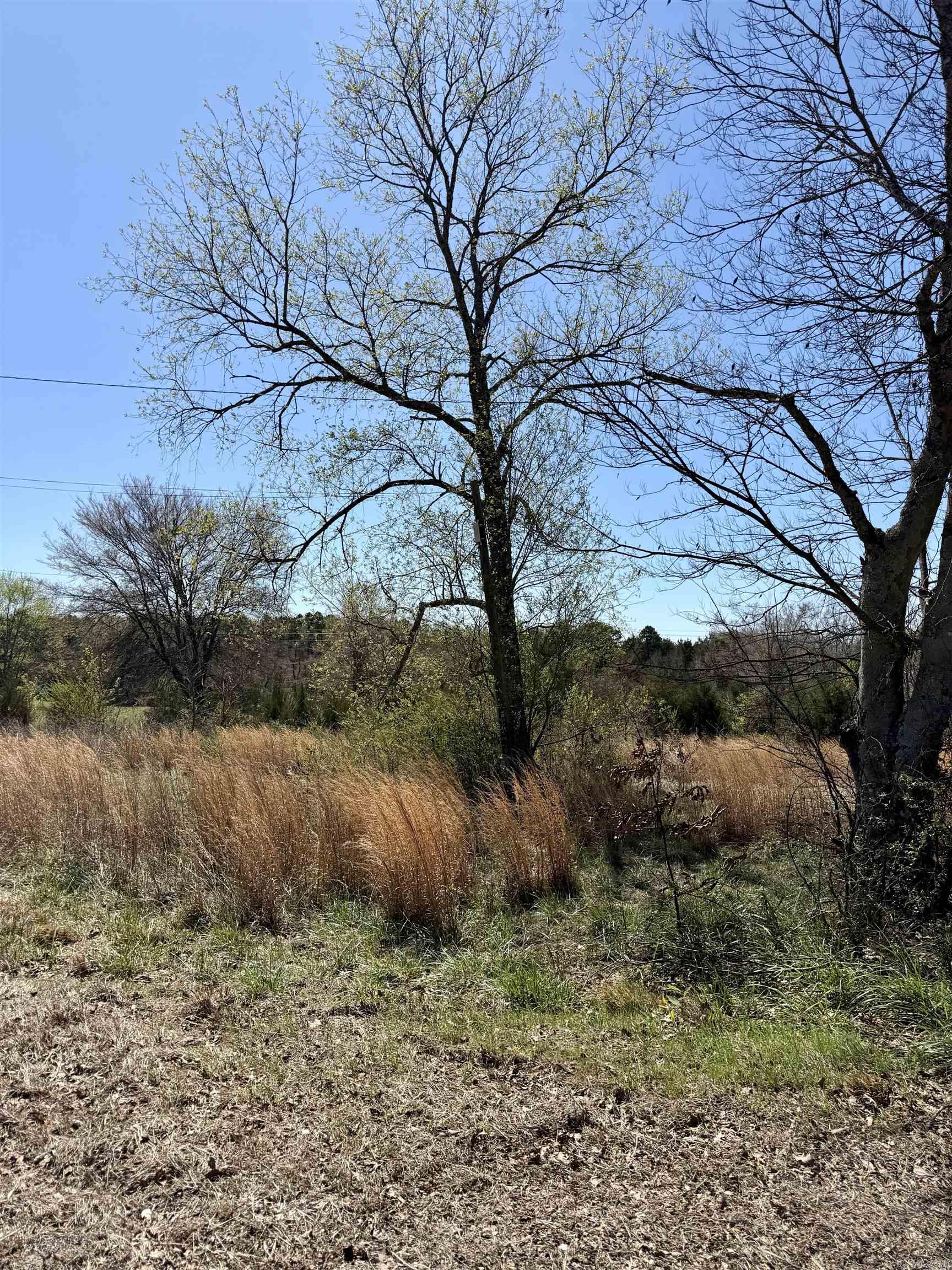 10383 Highway 352  Clarksville, AR