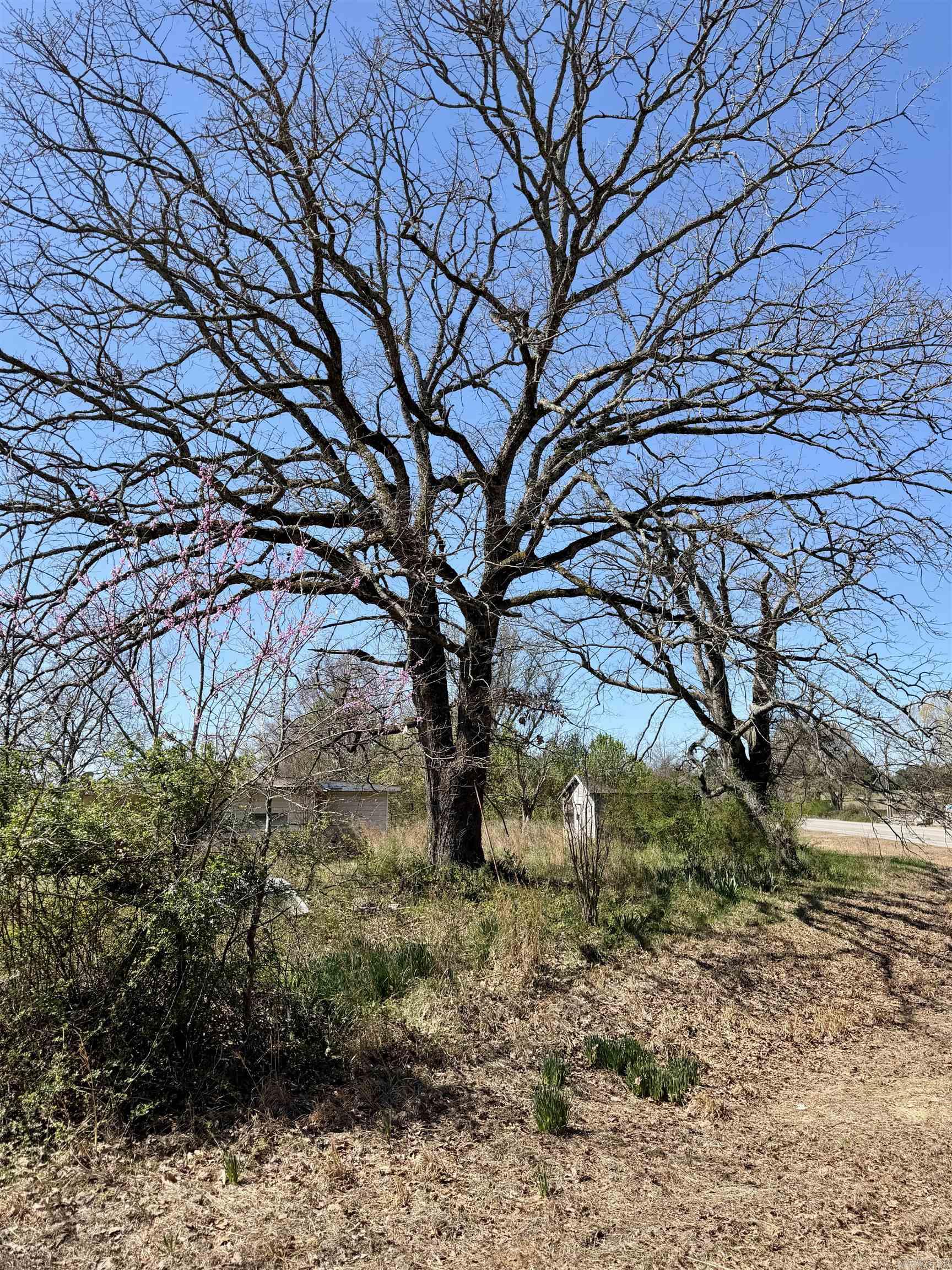 10383 Highway 352  Clarksville, AR