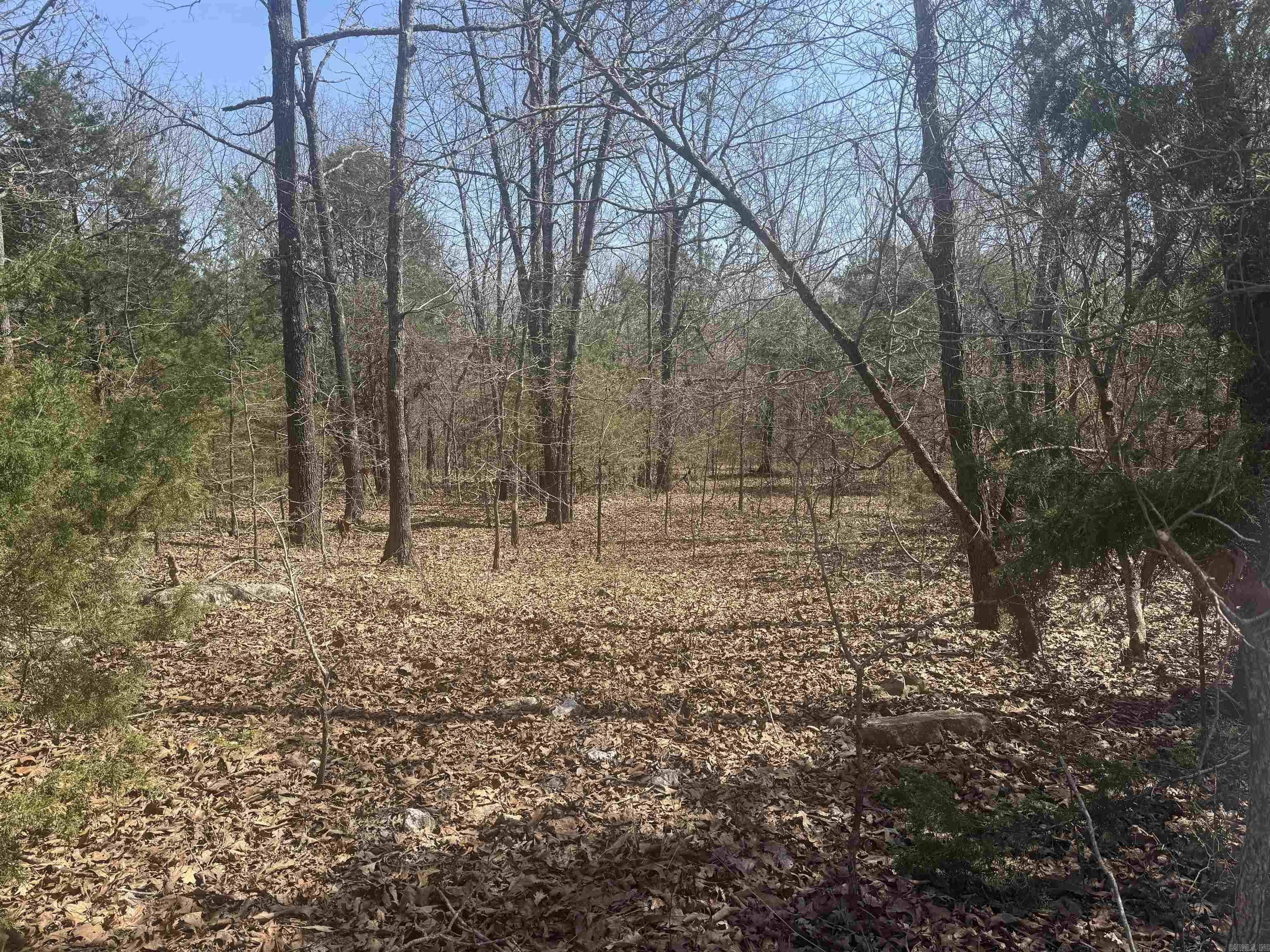 203 CR 94  Elizabeth, AR