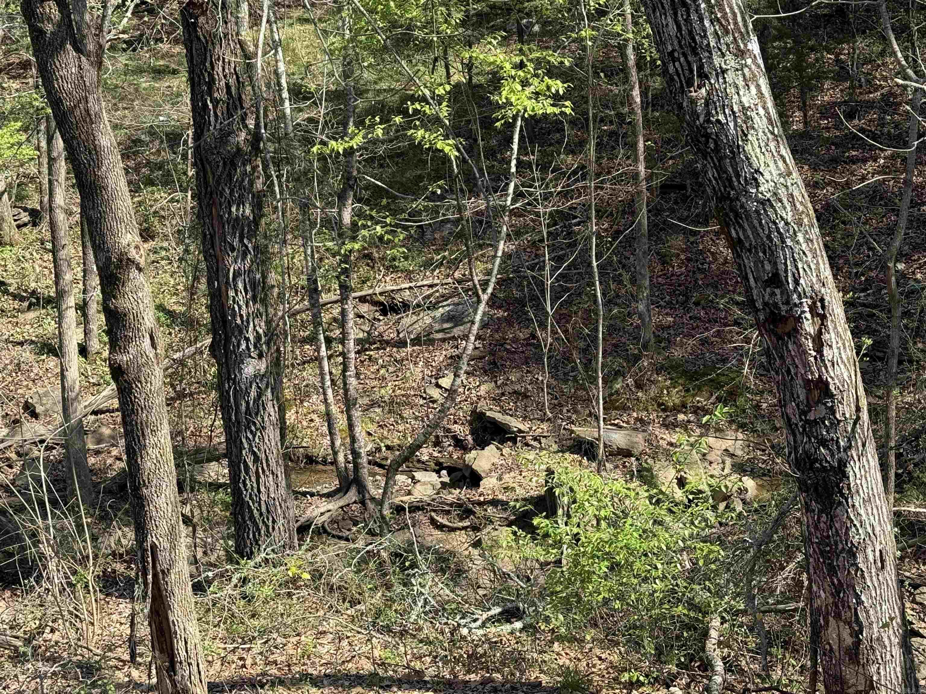 118 Richwood Drive #52  Fairfield Bay, AR