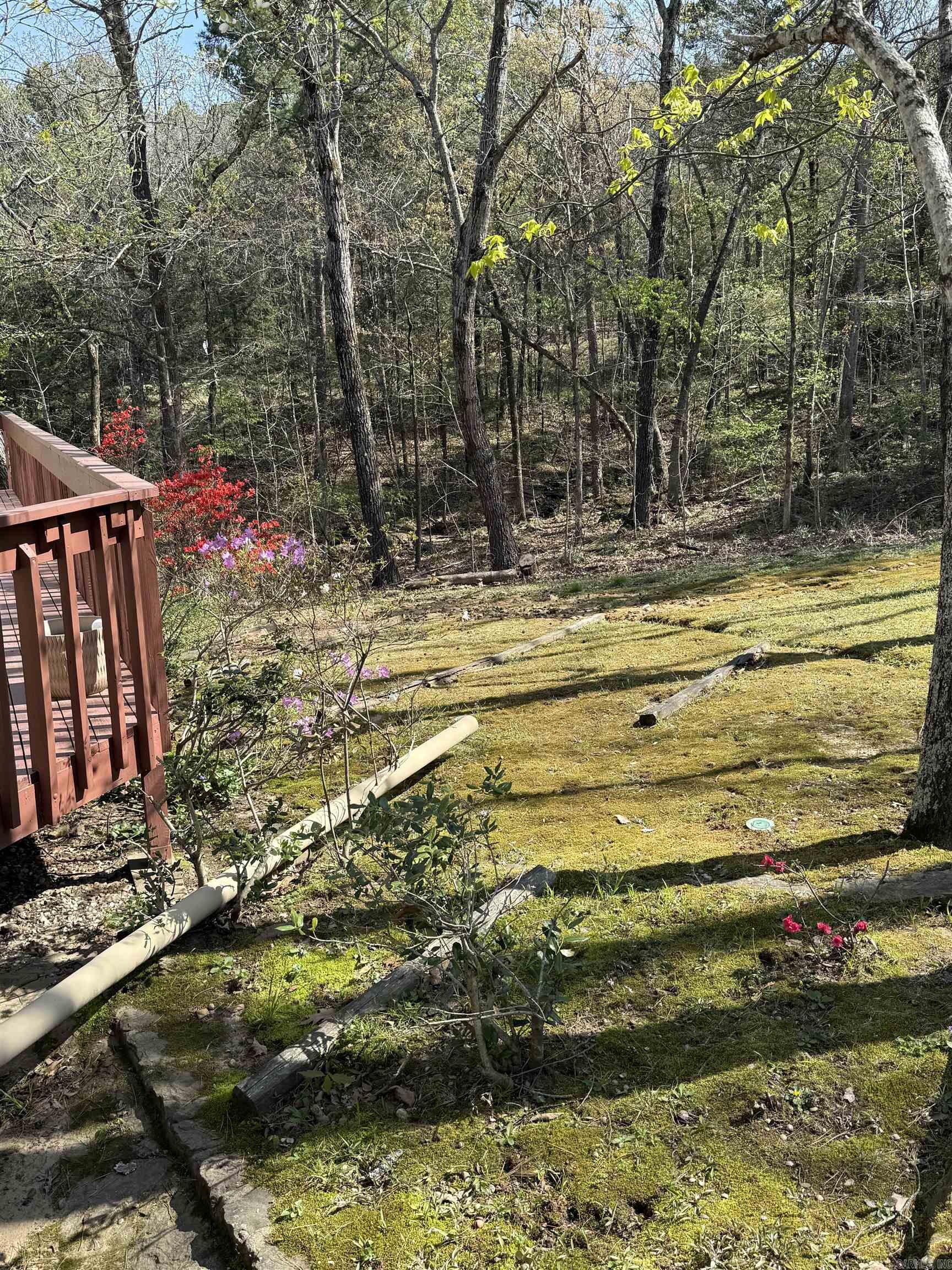 118 Richwood Drive #52  Fairfield Bay, AR