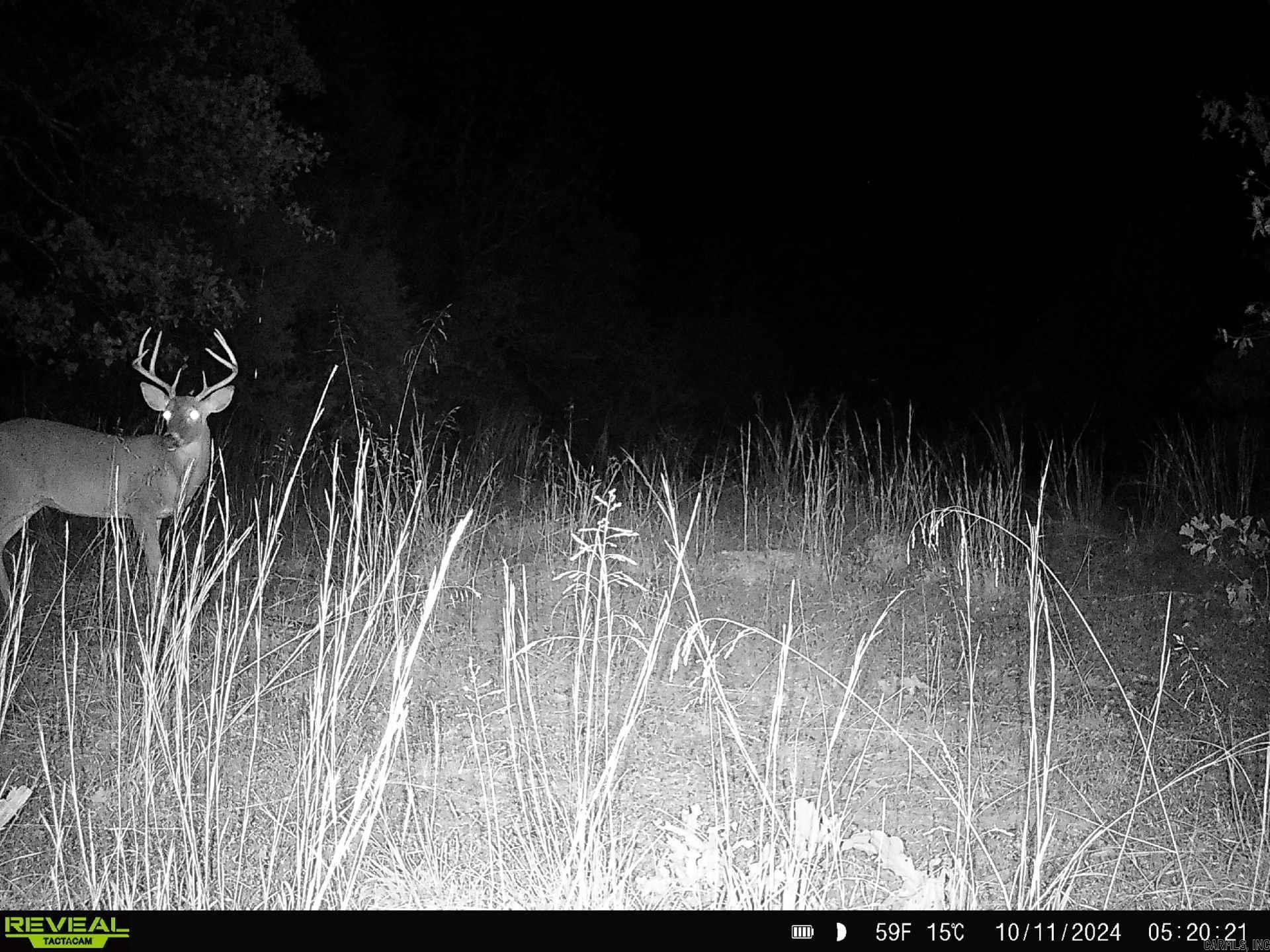 000 Thida  Thida, AR