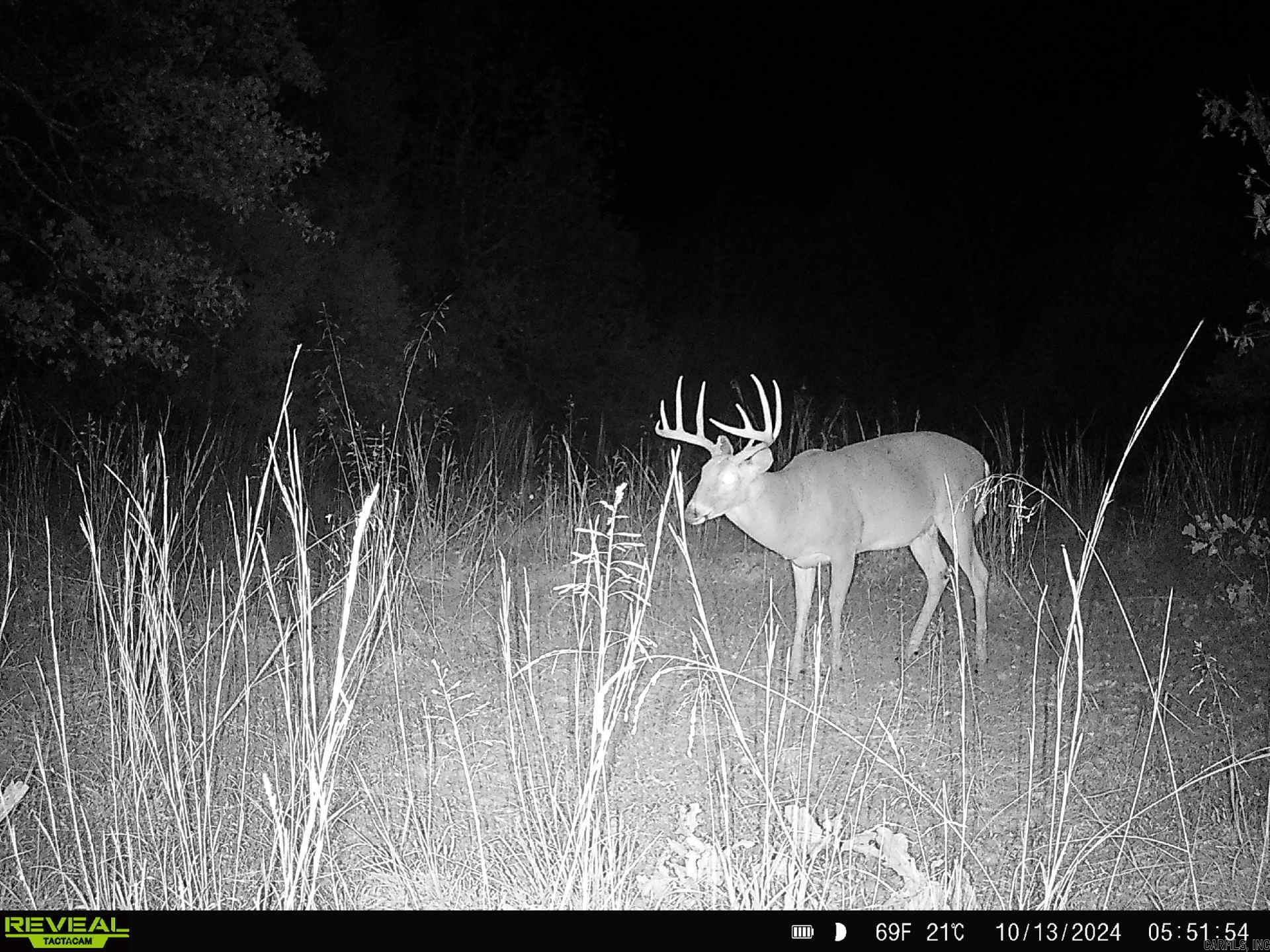 000 Thida  Thida, AR