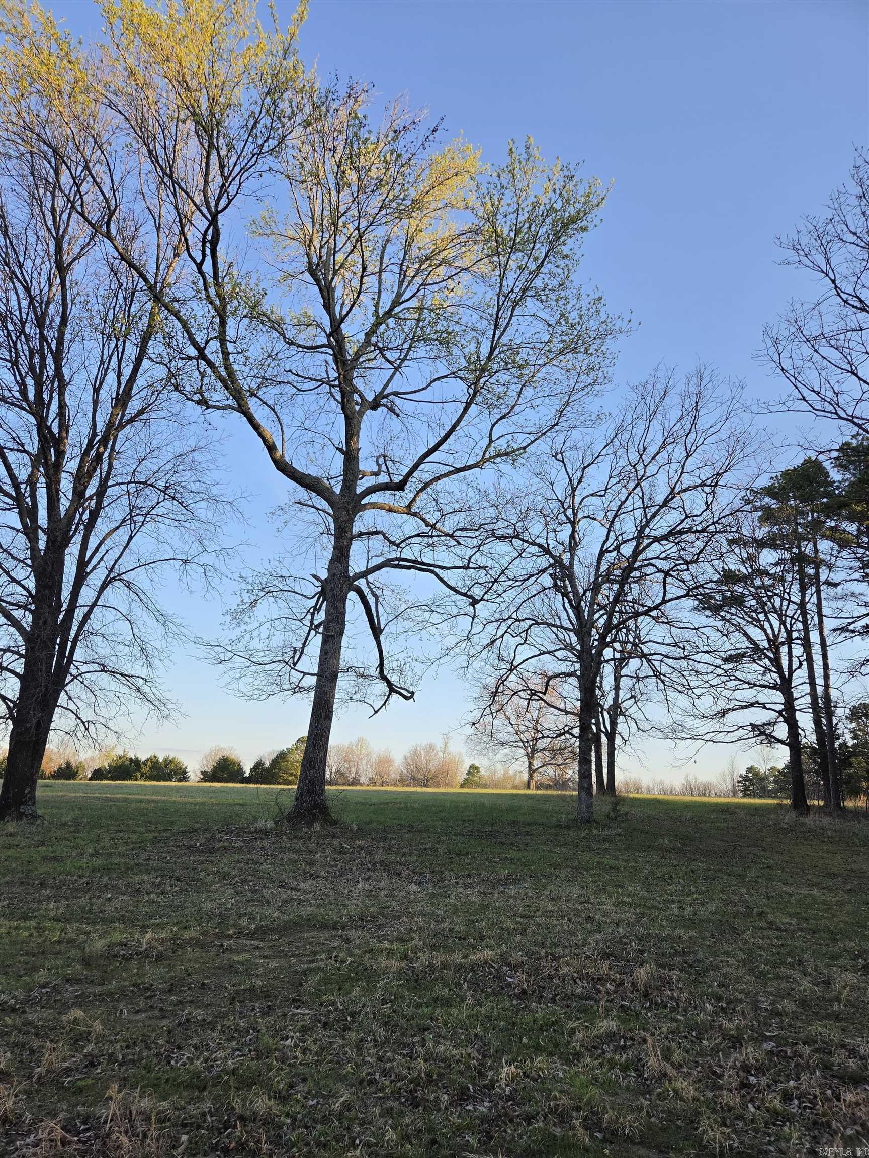 000 Thida  Thida, AR