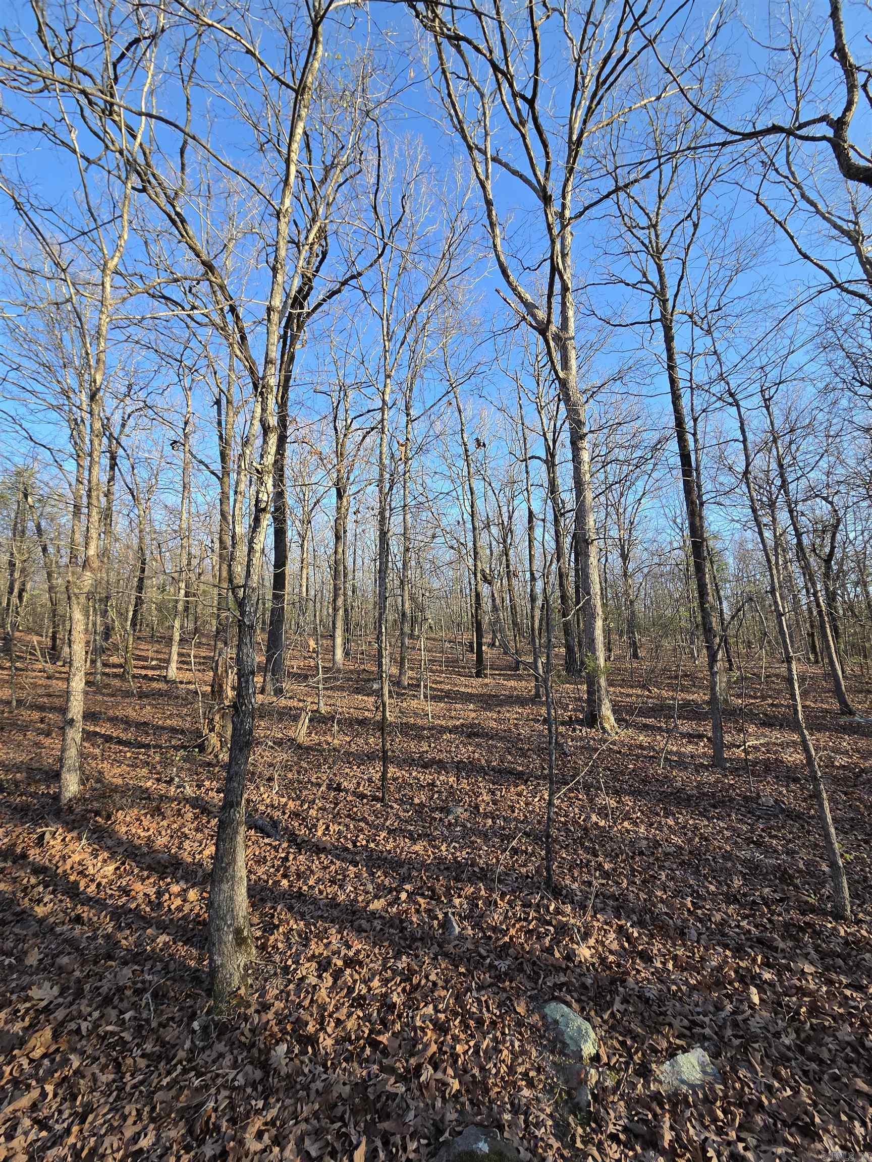 000 Thida  Thida, AR