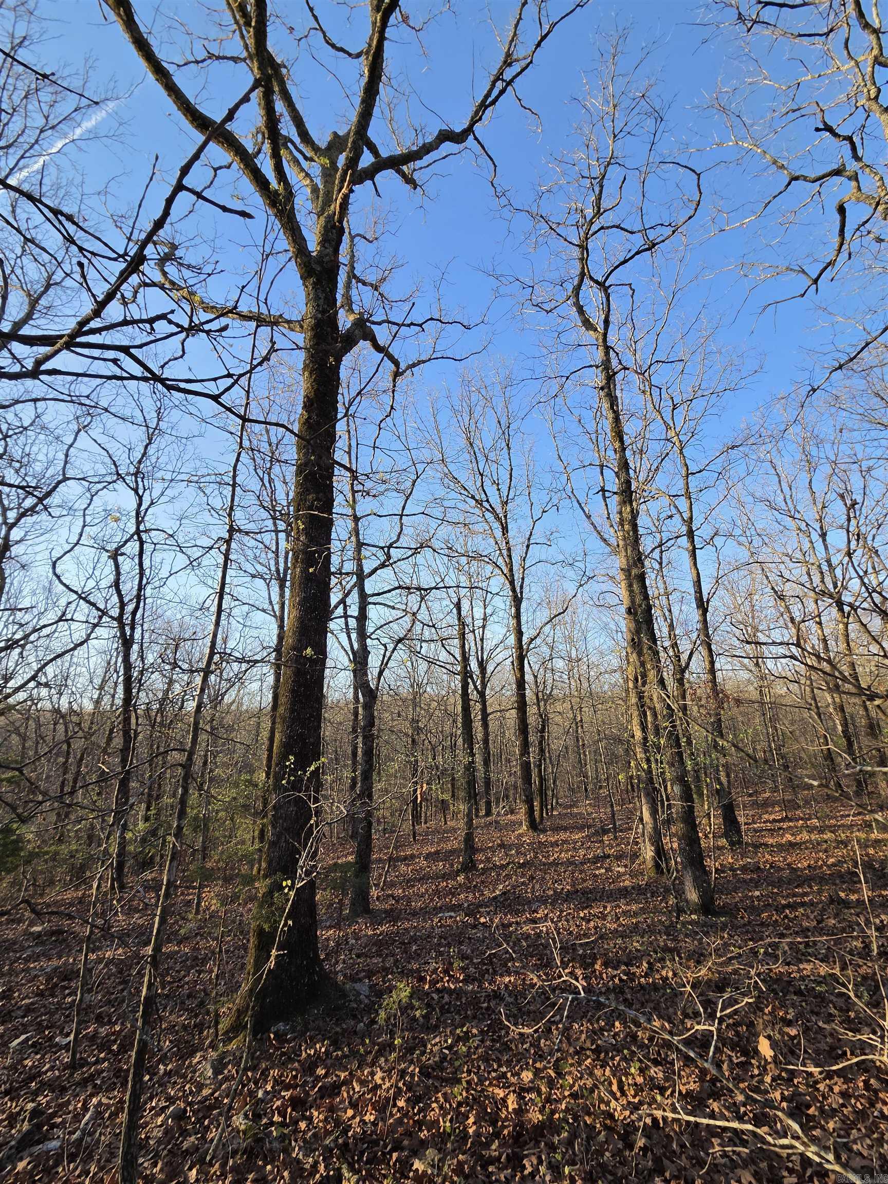 000 Thida  Thida, AR