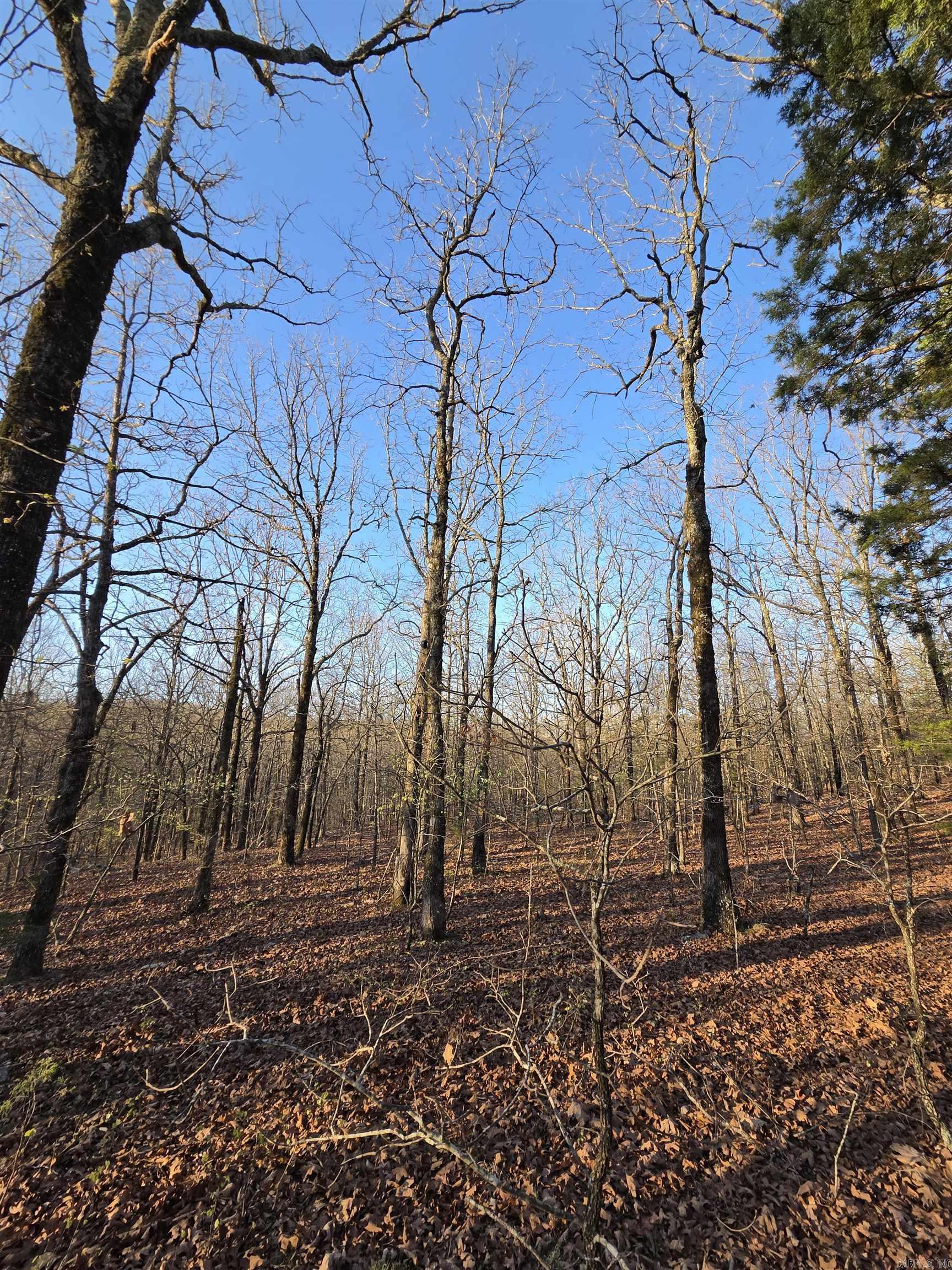 000 Thida  Thida, AR