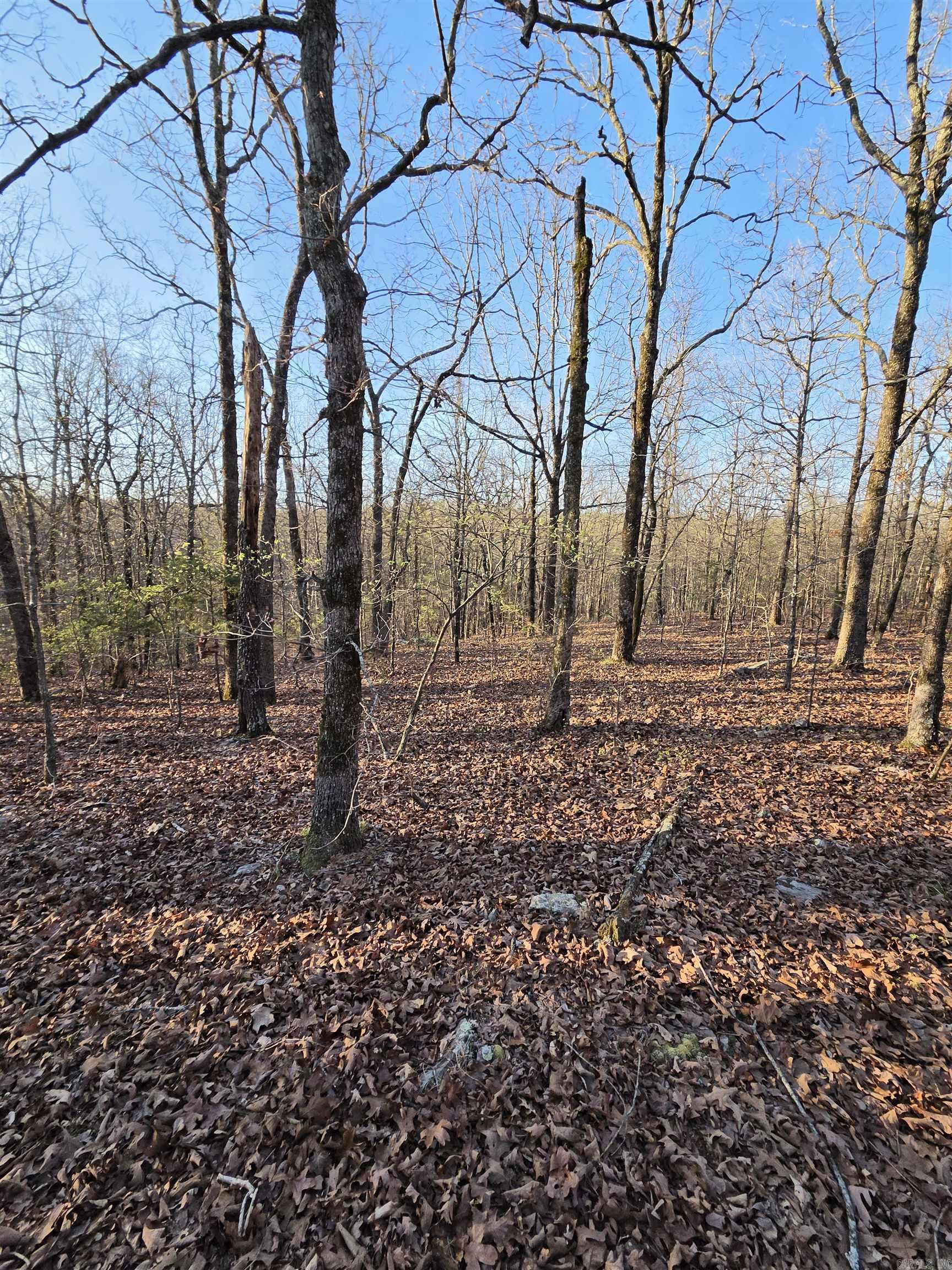 000 Thida  Thida, AR