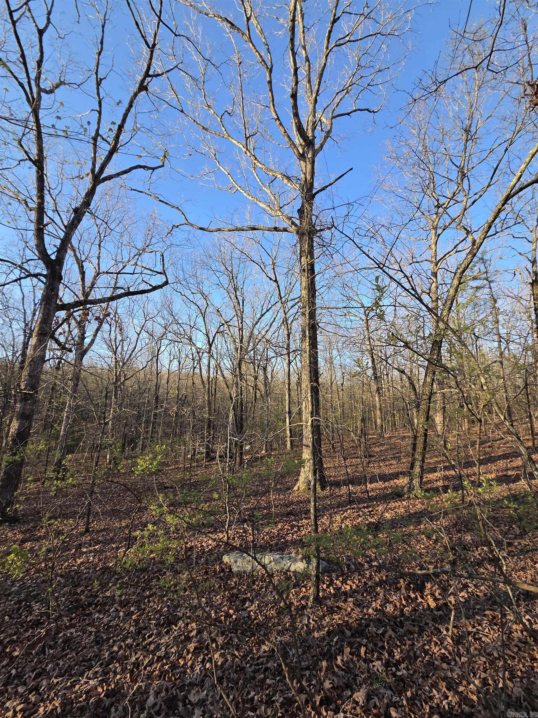 000 Thida  Thida, AR