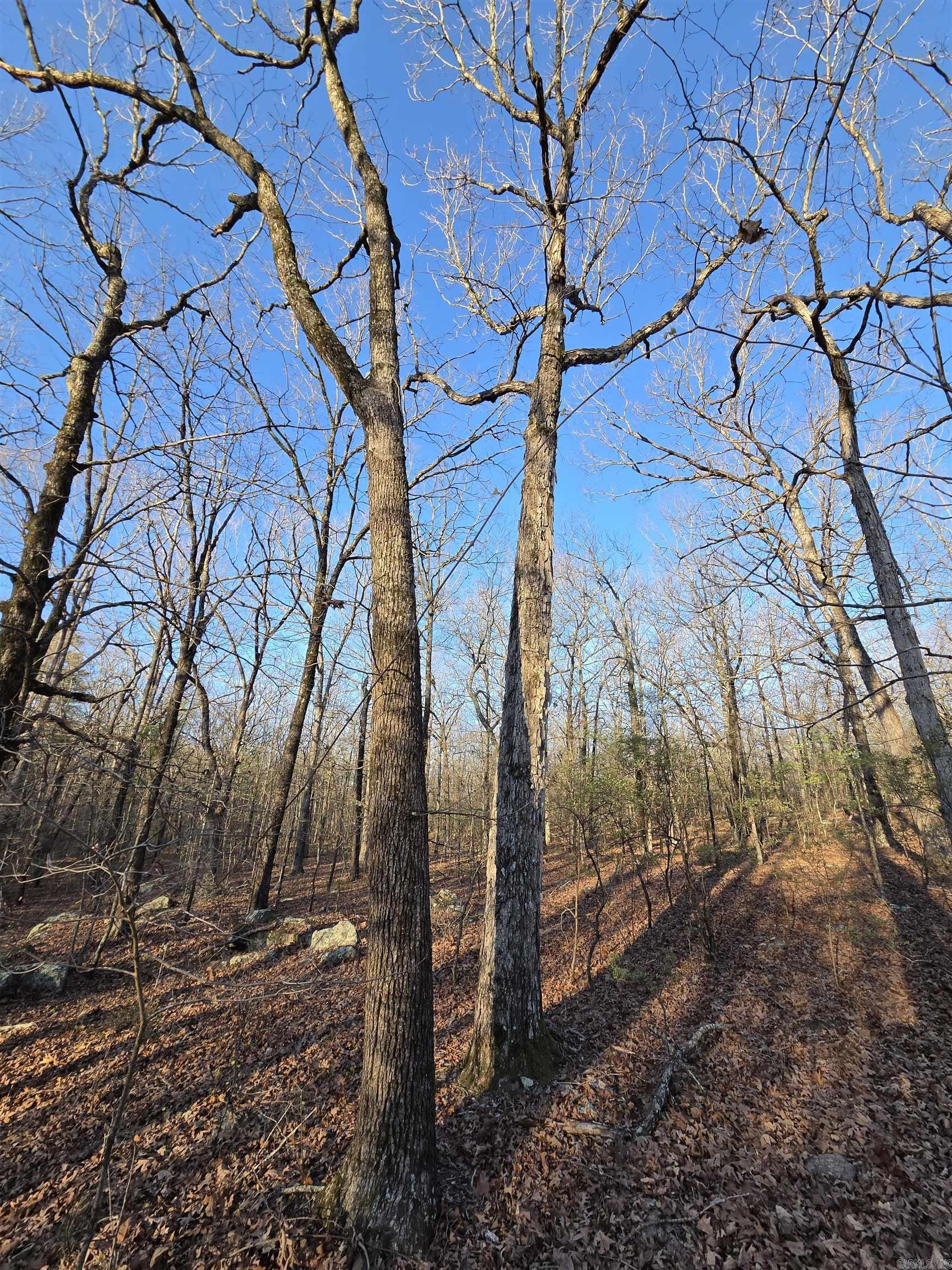 000 Thida  Thida, AR