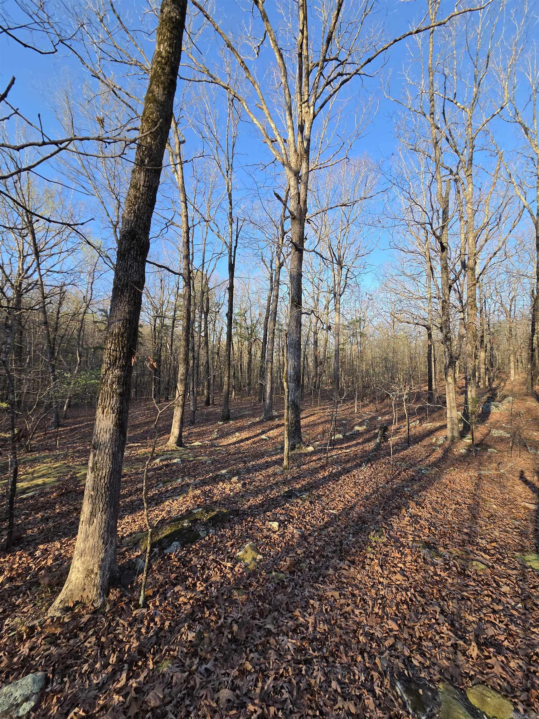 000 Thida  Thida, AR