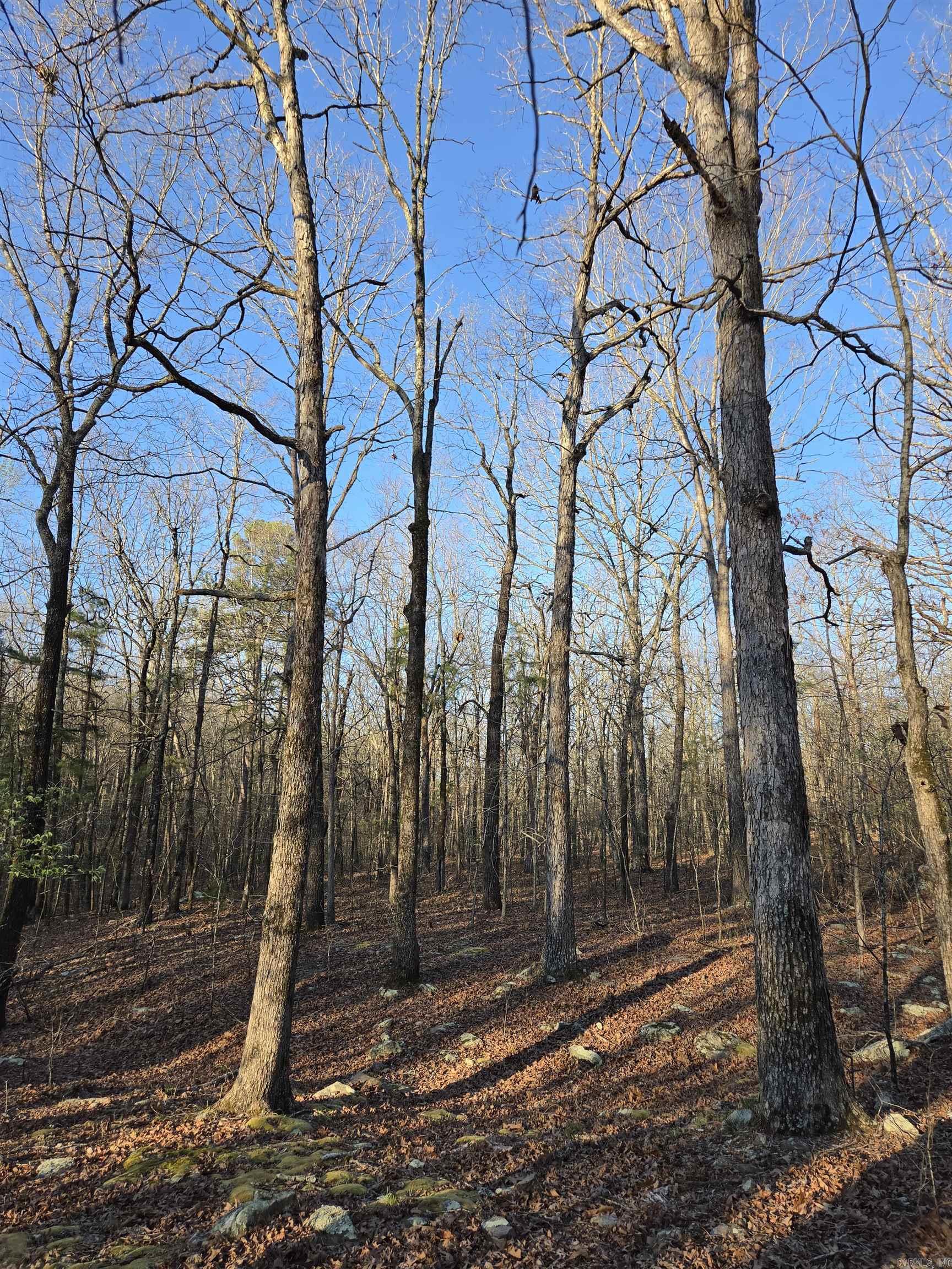 000 Thida  Thida, AR