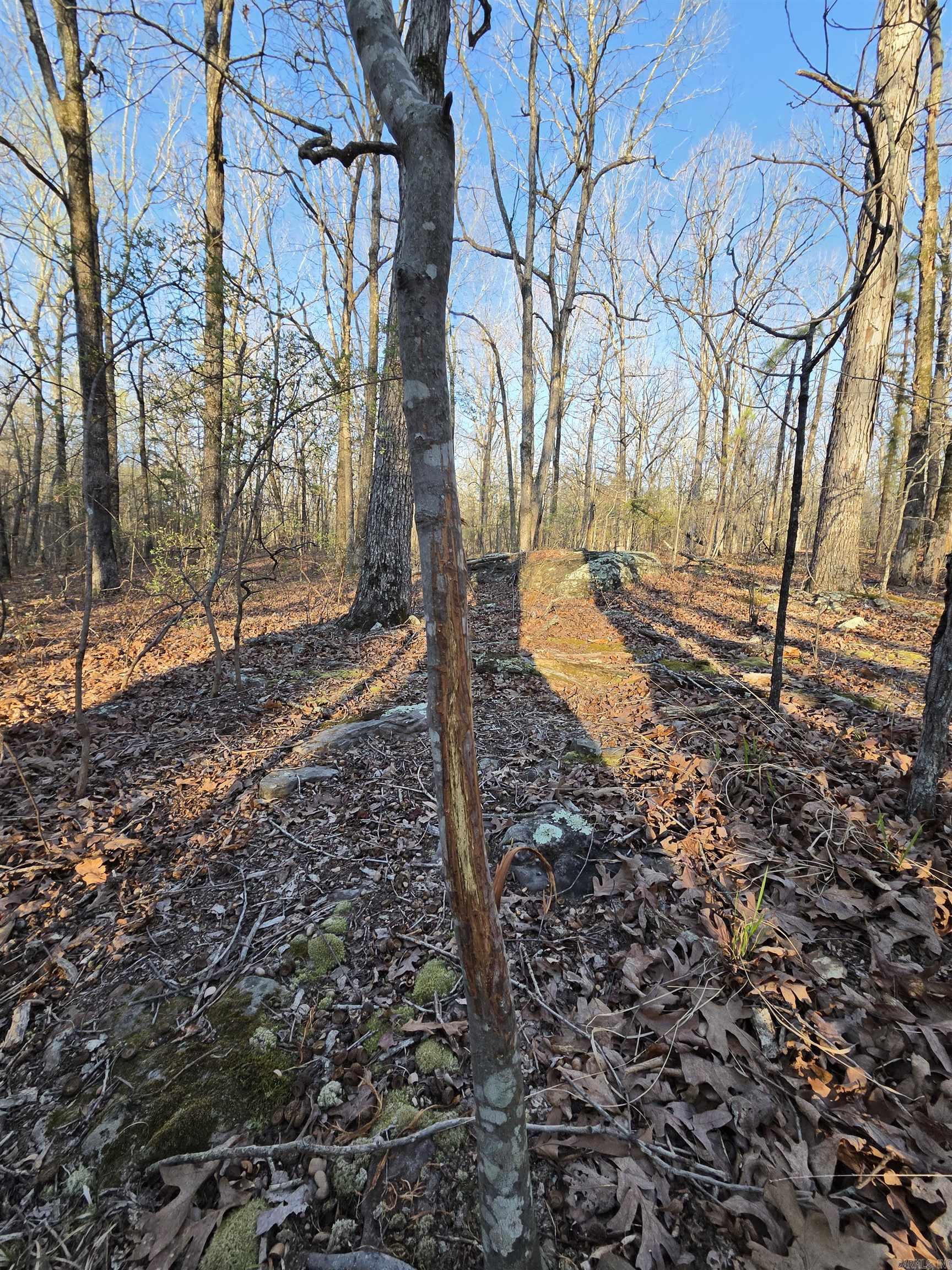 000 Thida  Thida, AR