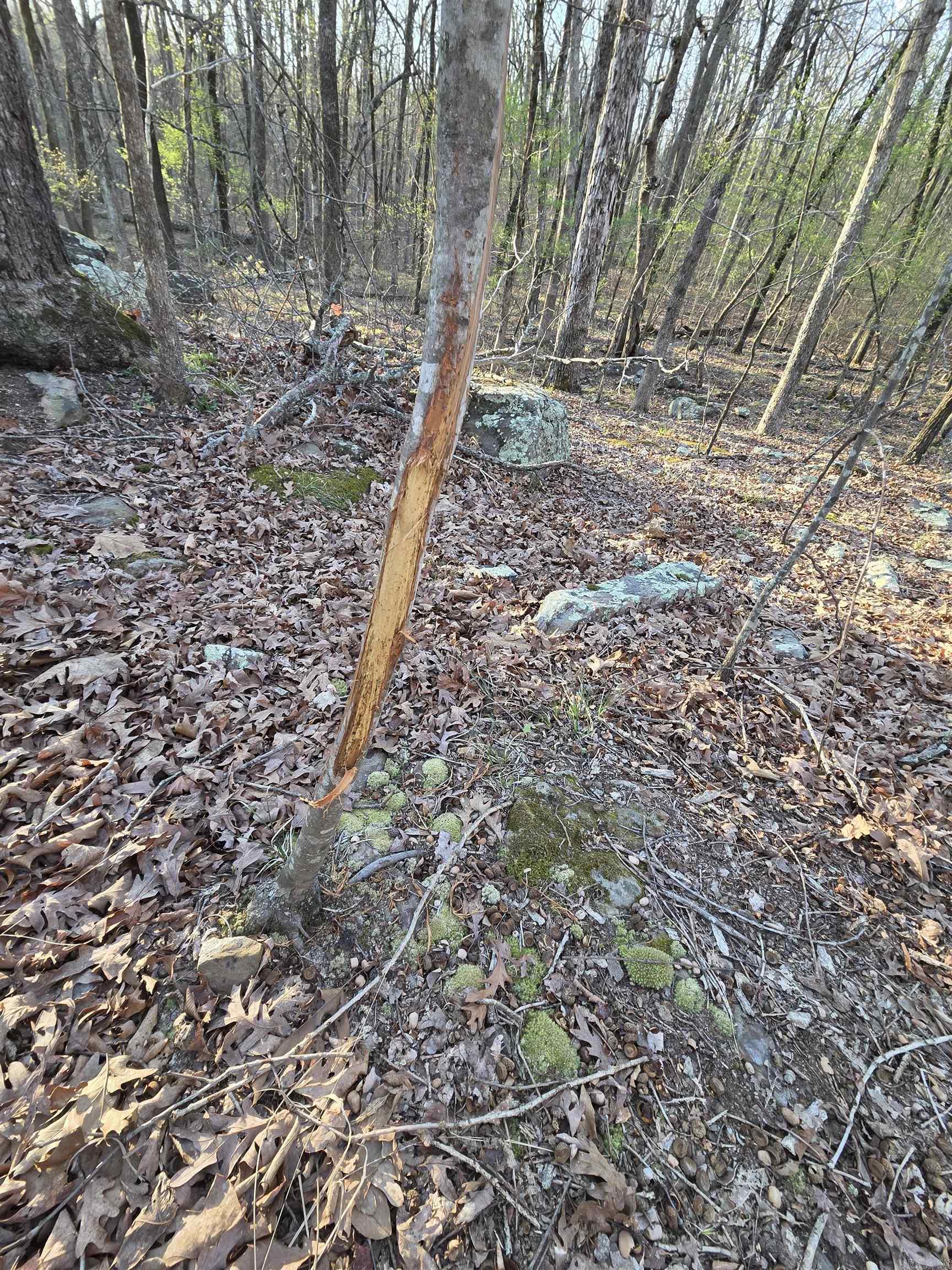 000 Thida  Thida, AR