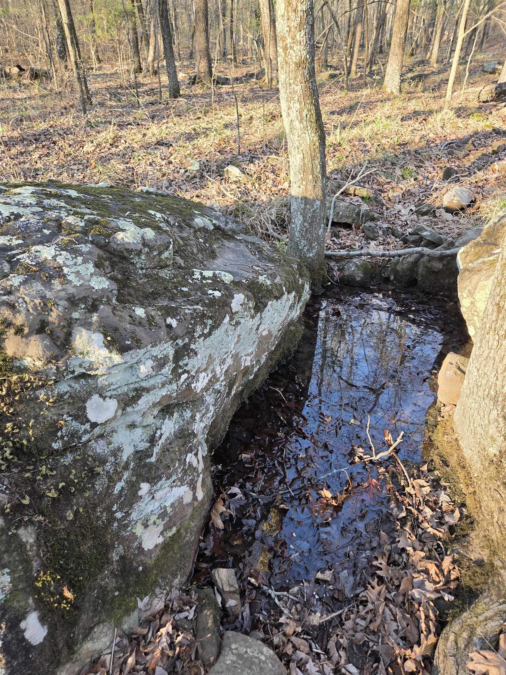 000 Thida  Thida, AR