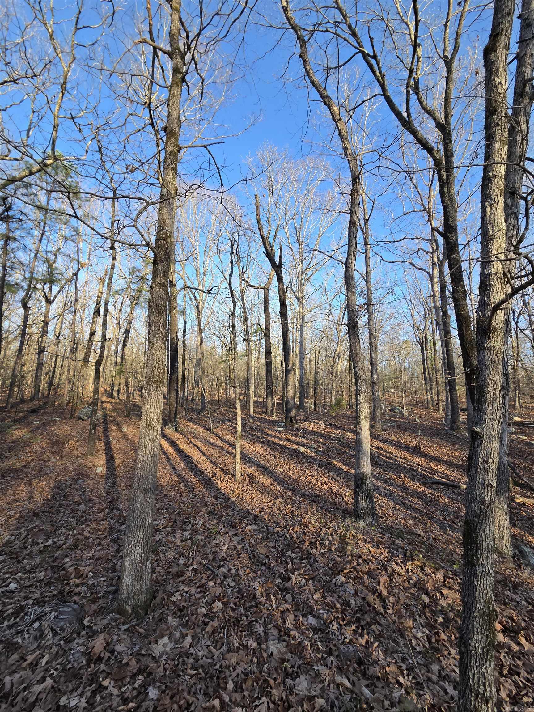 000 Thida  Thida, AR