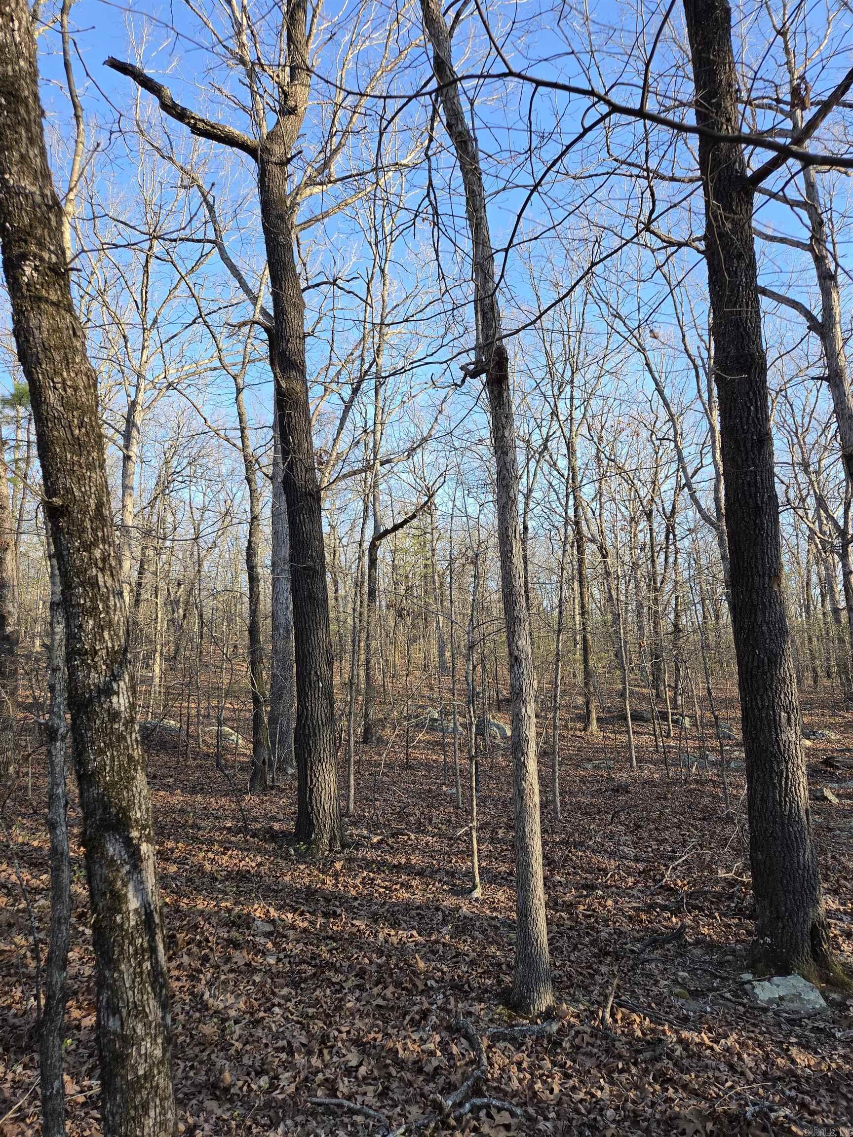 000 Thida  Thida, AR