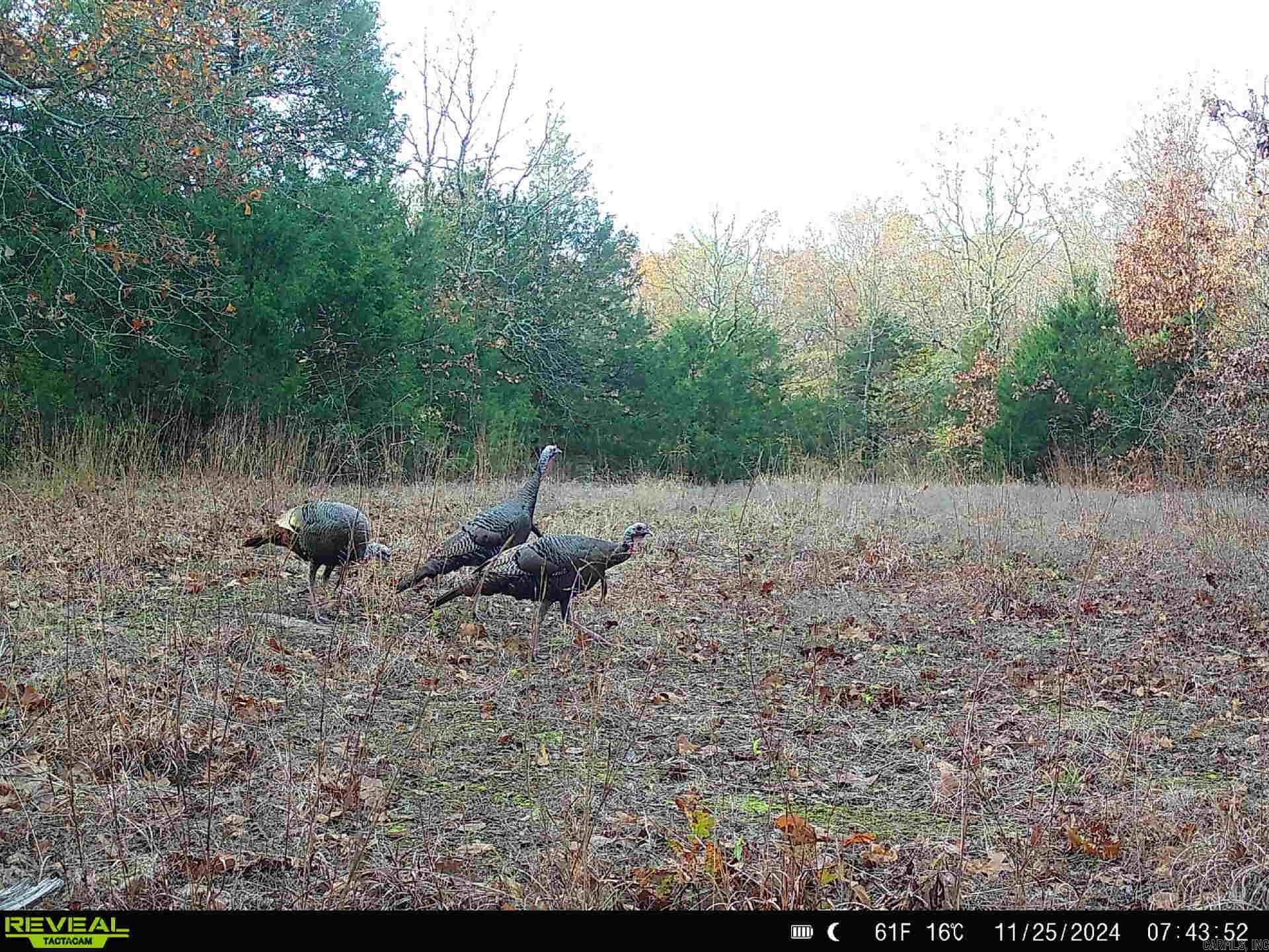 000 Thida  Thida, AR