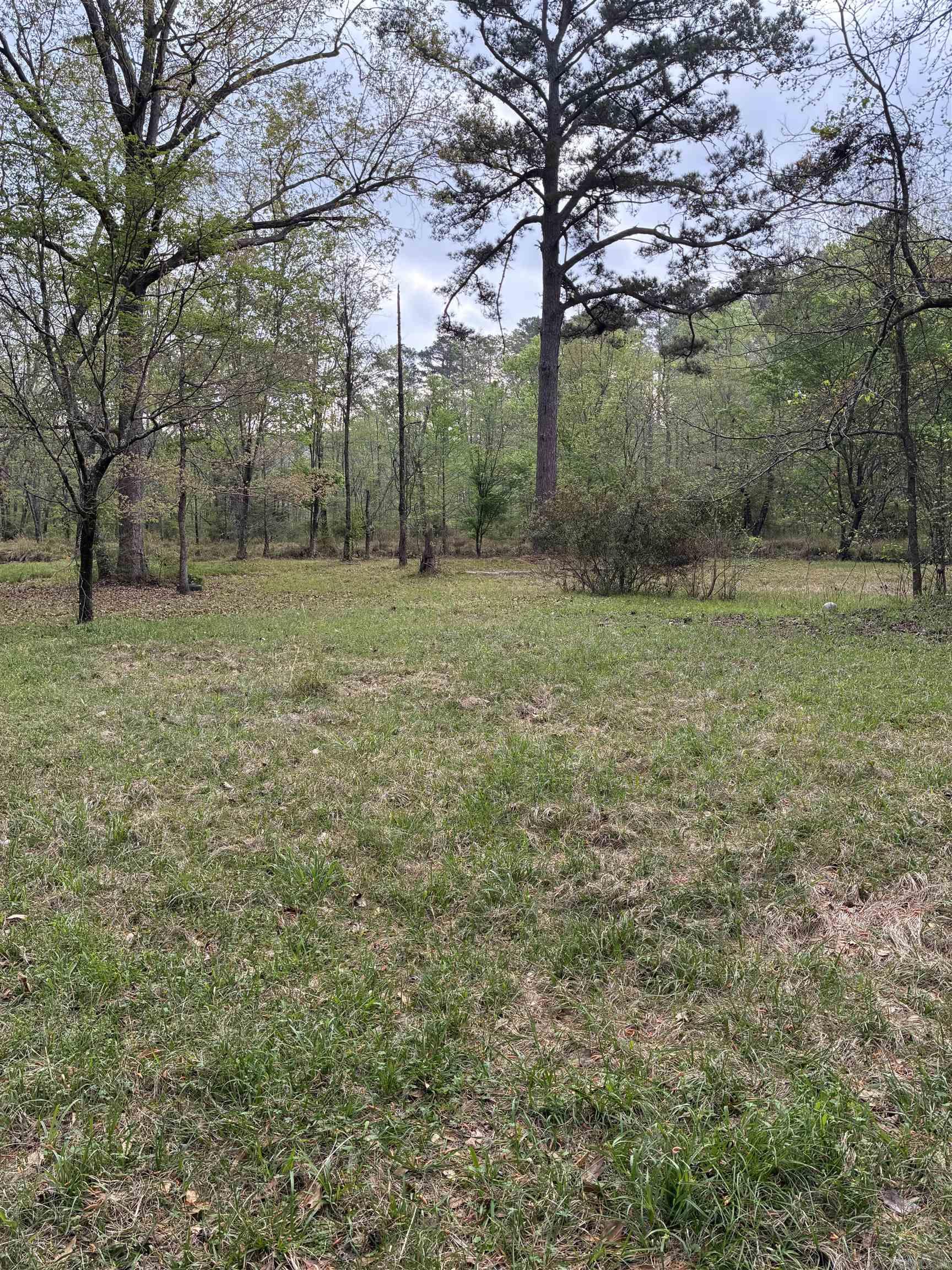 365 Ouachita 312  Chidester, AR