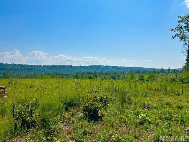 0 Sutterfield  Fox, AR