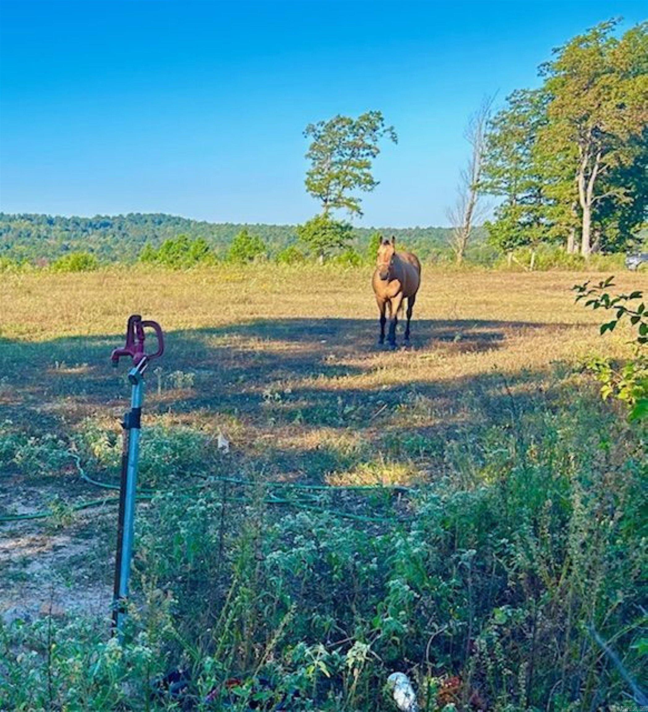 0 Sutterfield  Fox, AR