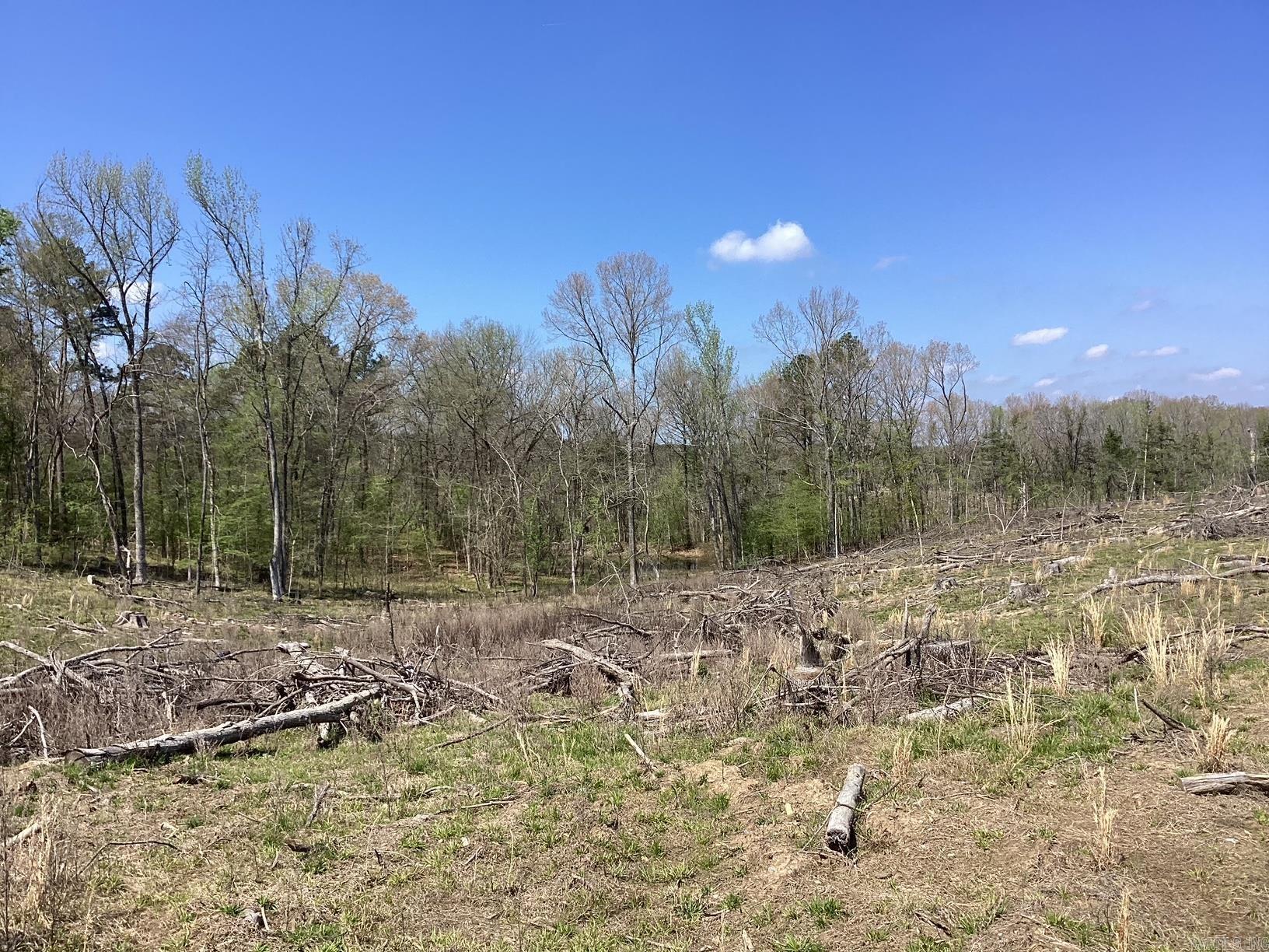  Okolona Road  Gurdon, AR