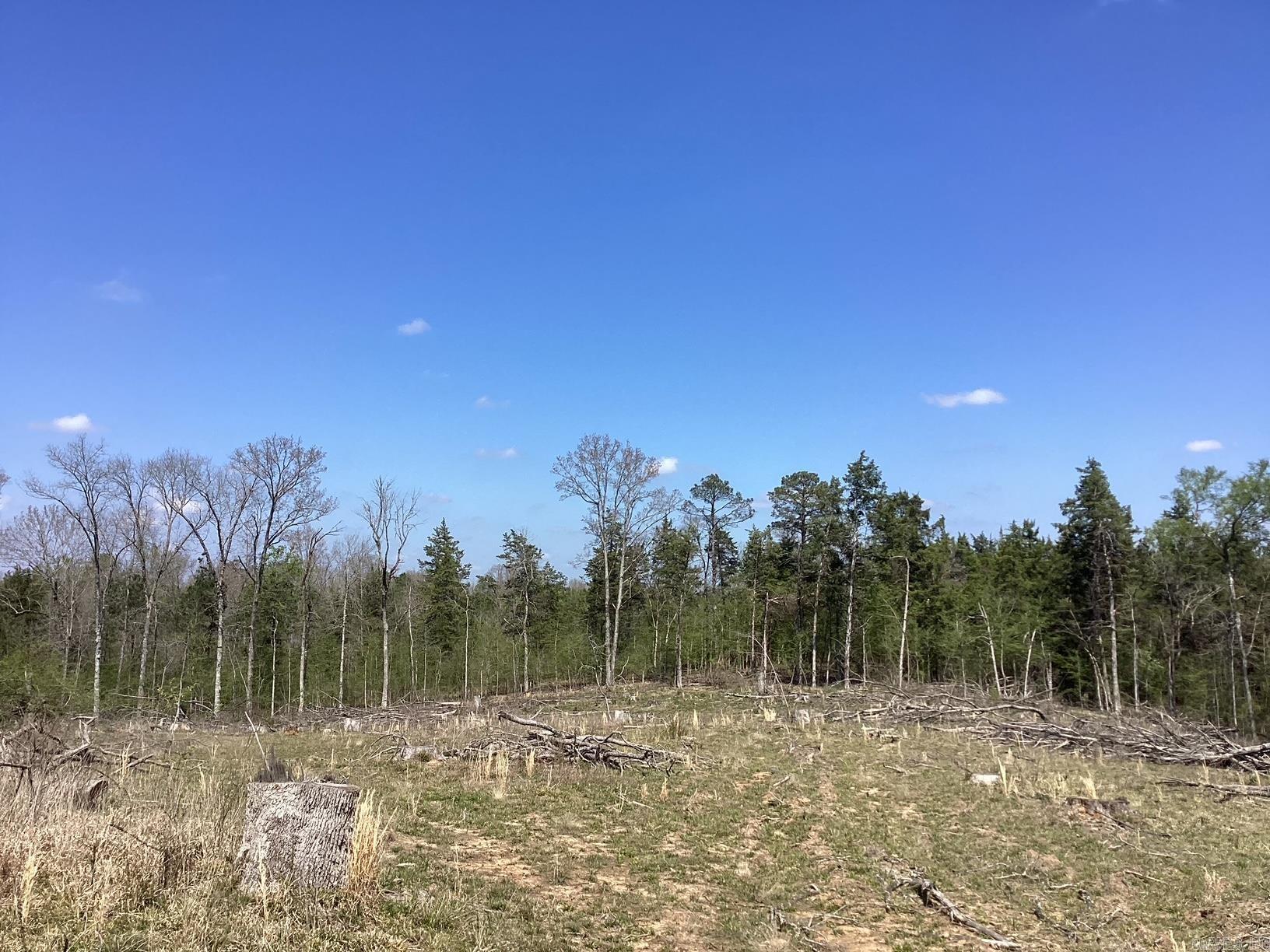  Okolona Road  Gurdon, AR