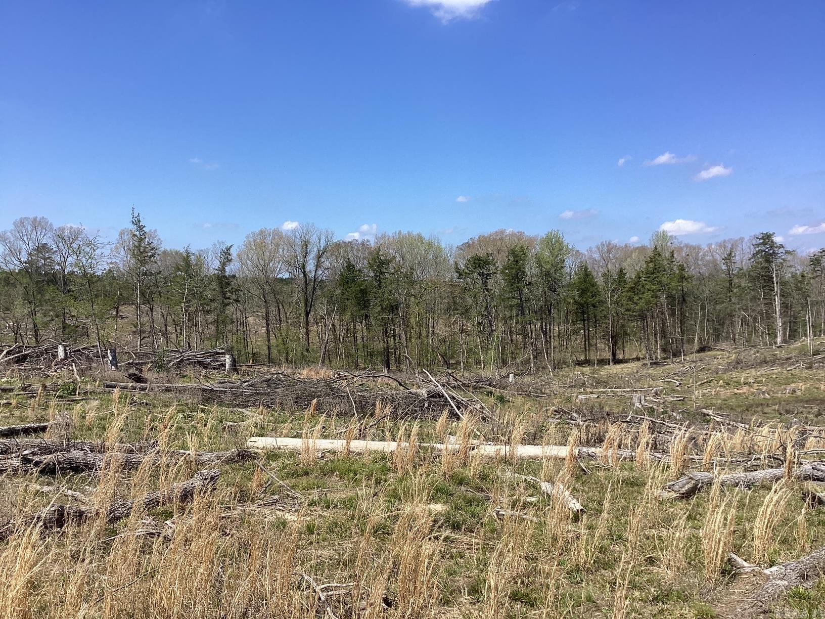  Okolona Road  Gurdon, AR