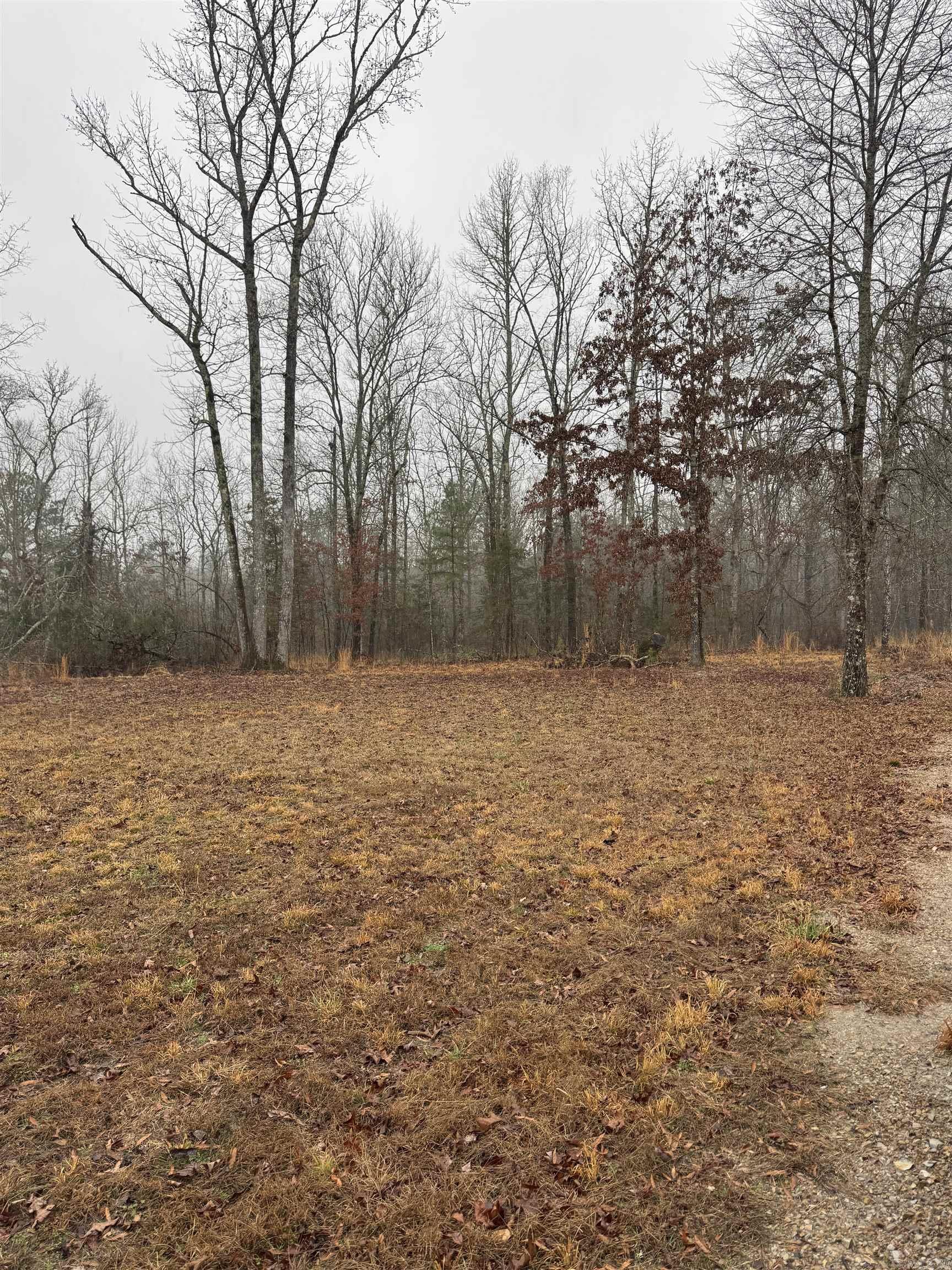 376 & 378 Brookhill Ranch Trail  Hot Springs, AR