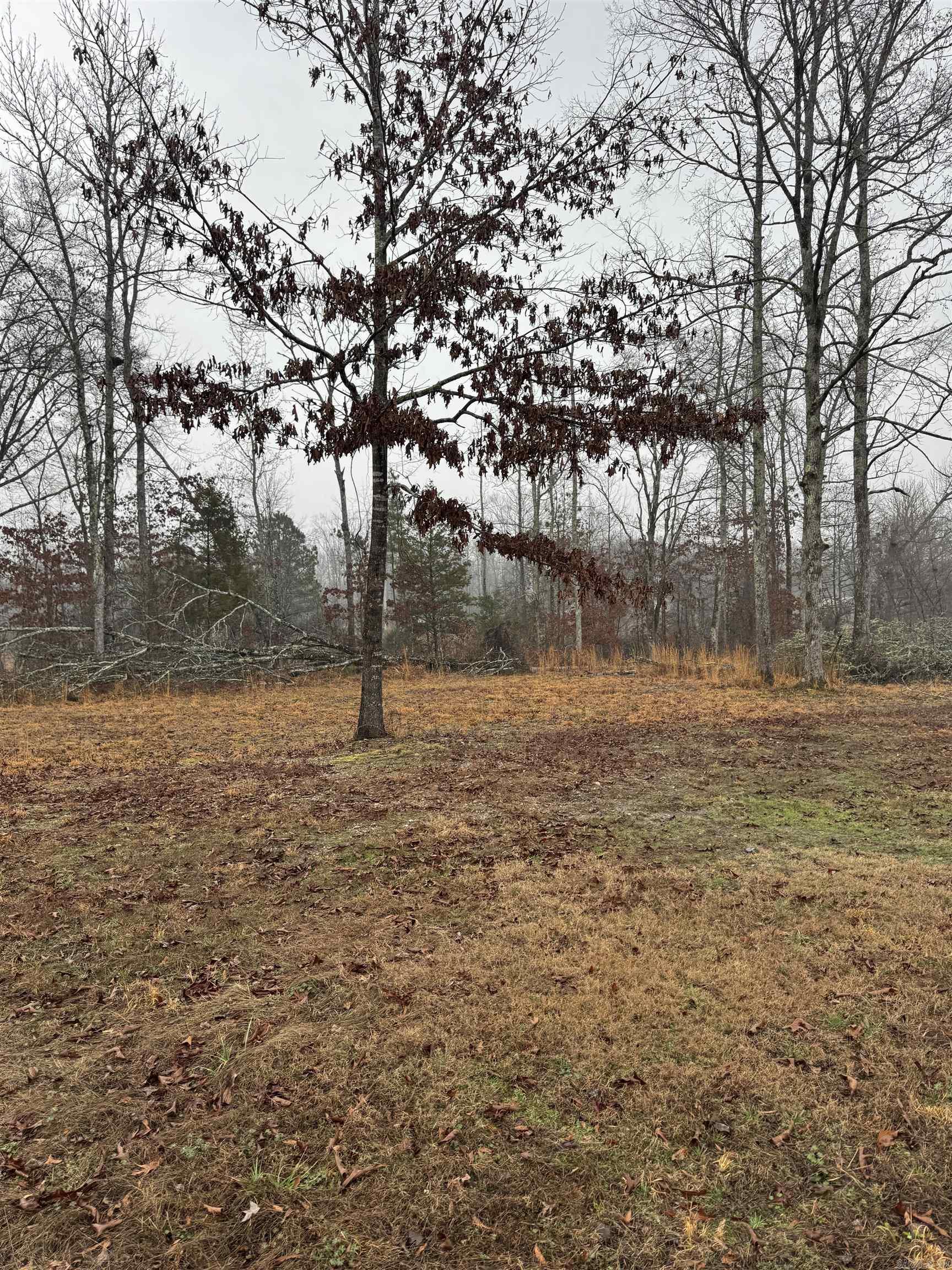 376 & 378 Brookhill Ranch Trail  Hot Springs, AR