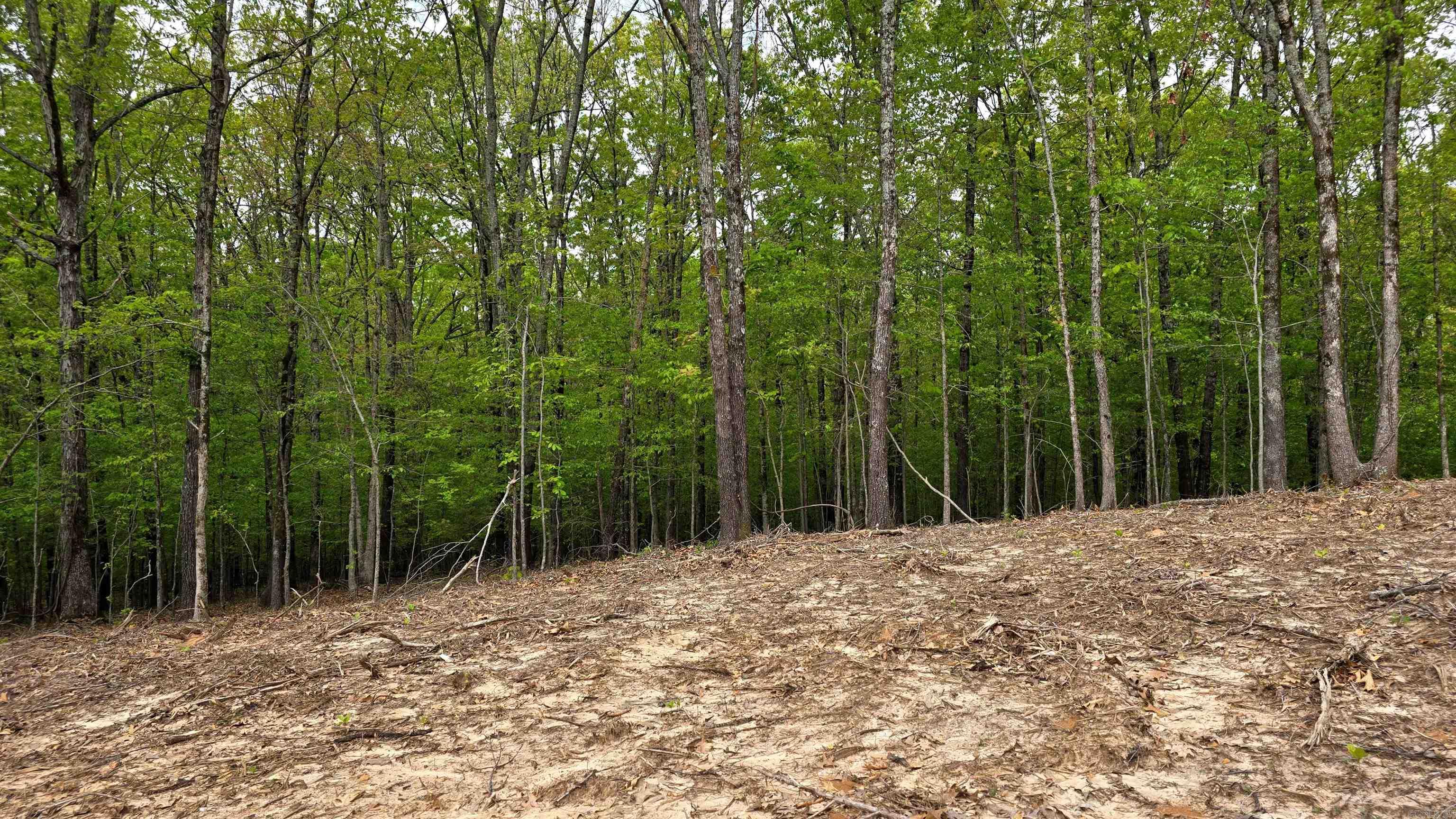 Lot 9 Distress Creek Rd  Harrisburg, AR