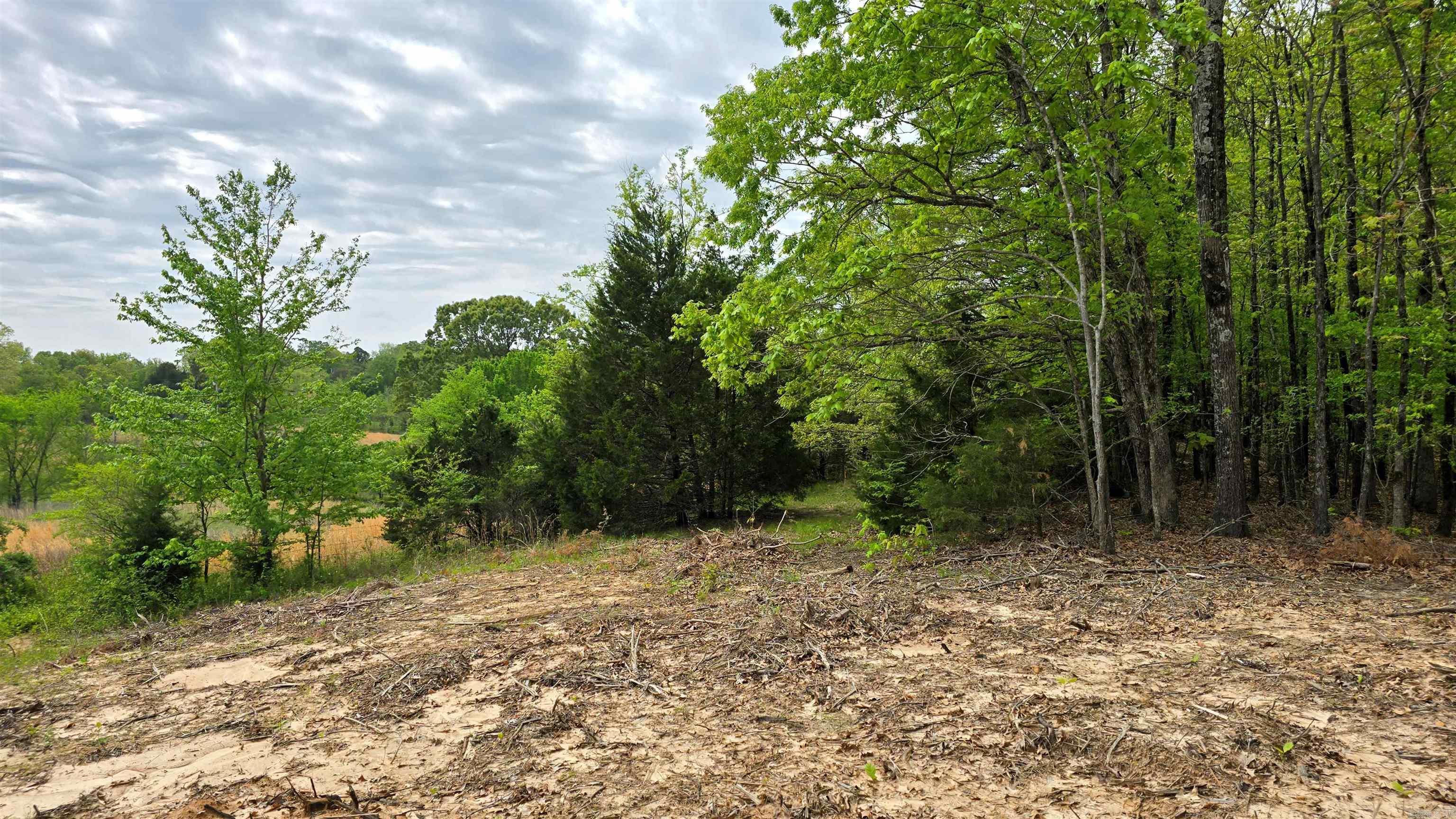 Lot 9 Distress Creek Rd  Harrisburg, AR