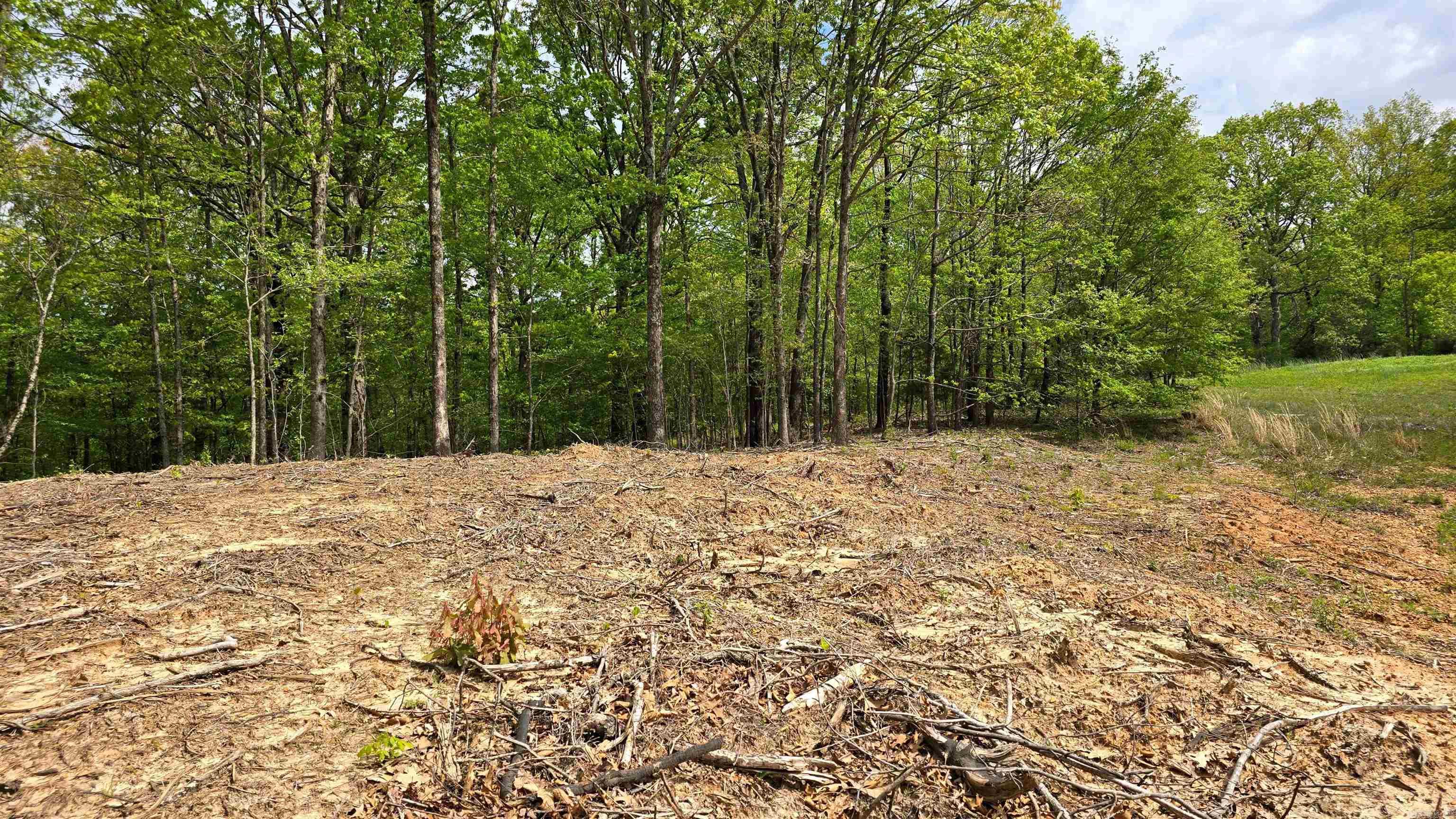 Lot 9 Distress Creek Rd  Harrisburg, AR