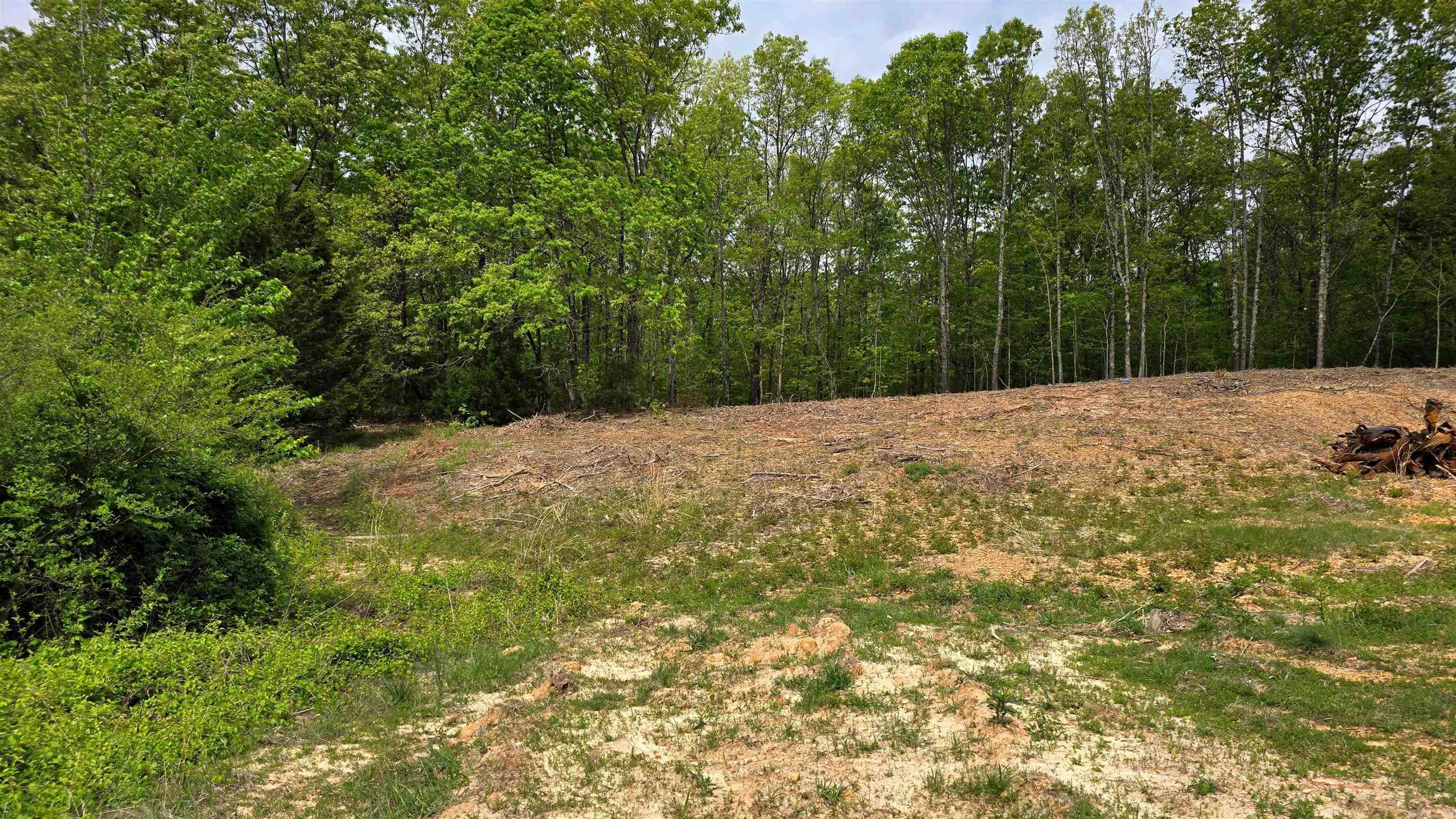 Lot 9 Distress Creek Rd  Harrisburg, AR