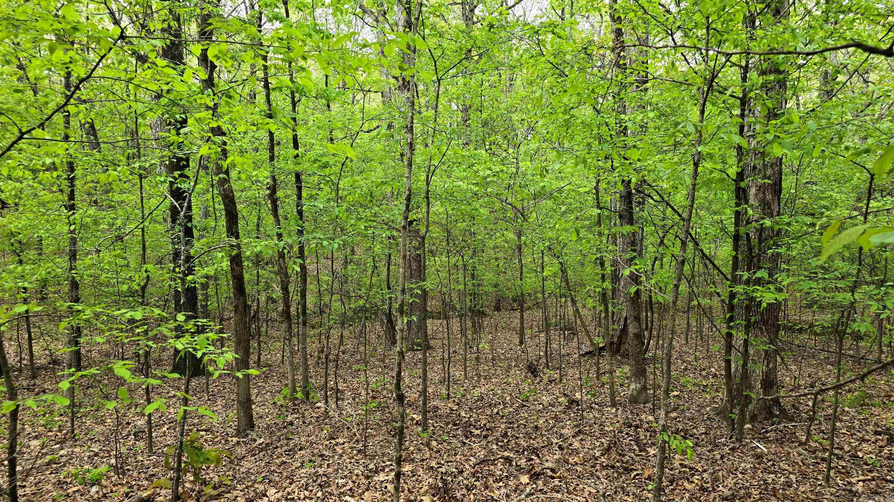 Lot 9 Distress Creek Rd  Harrisburg, AR