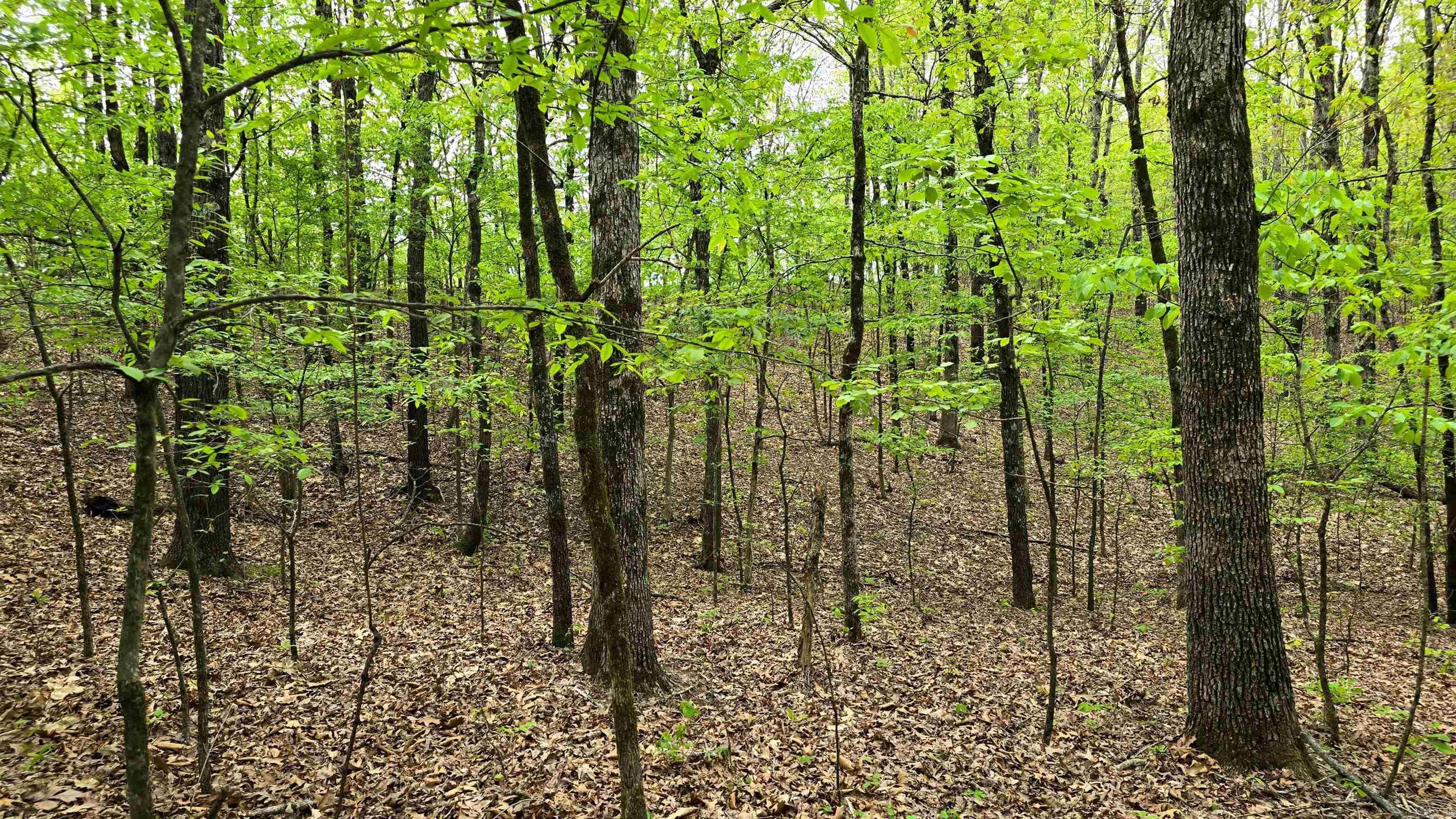 Lot 9 Distress Creek Rd  Harrisburg, AR