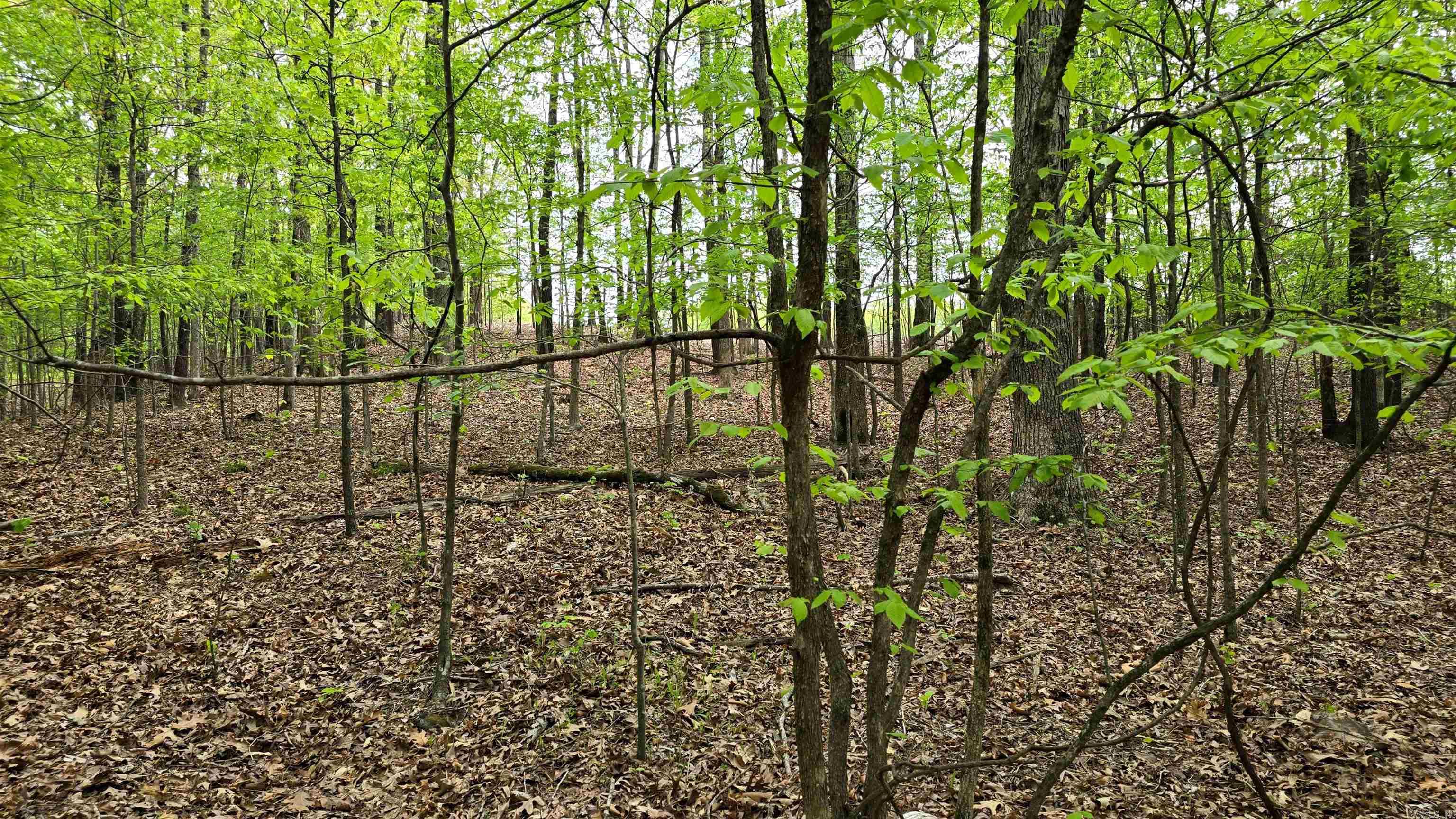 Lot 9 Distress Creek Rd  Harrisburg, AR