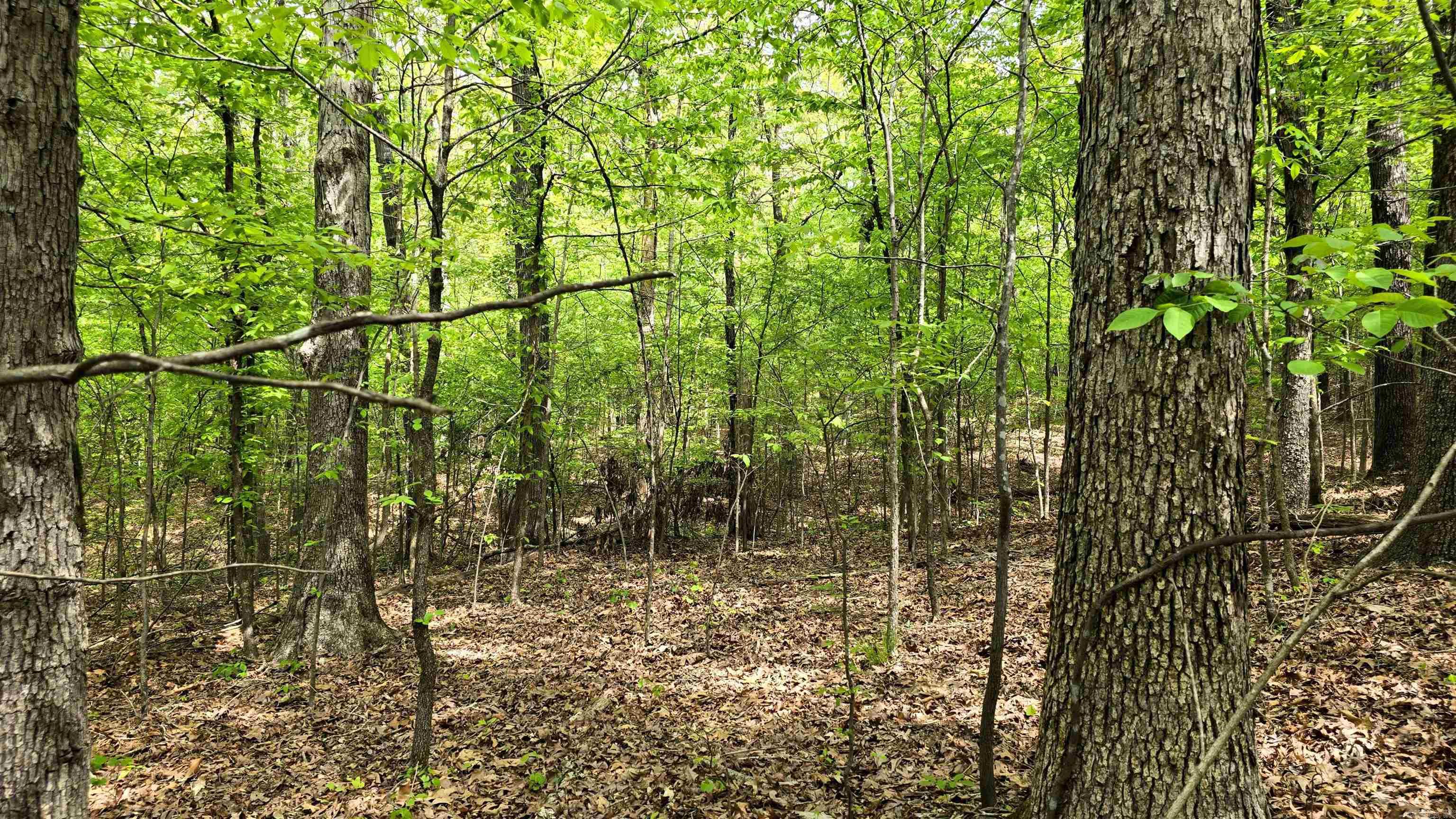 Lot 9 Distress Creek Rd  Harrisburg, AR