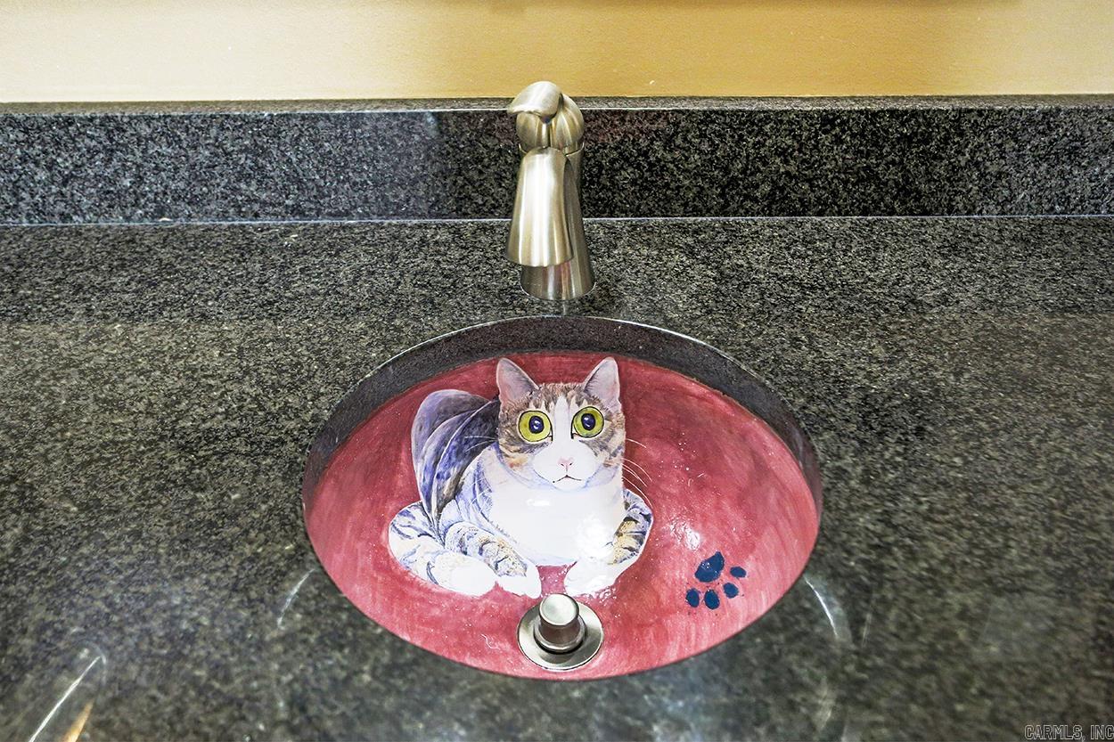 1815 Pine Valley  Little Rock, AR