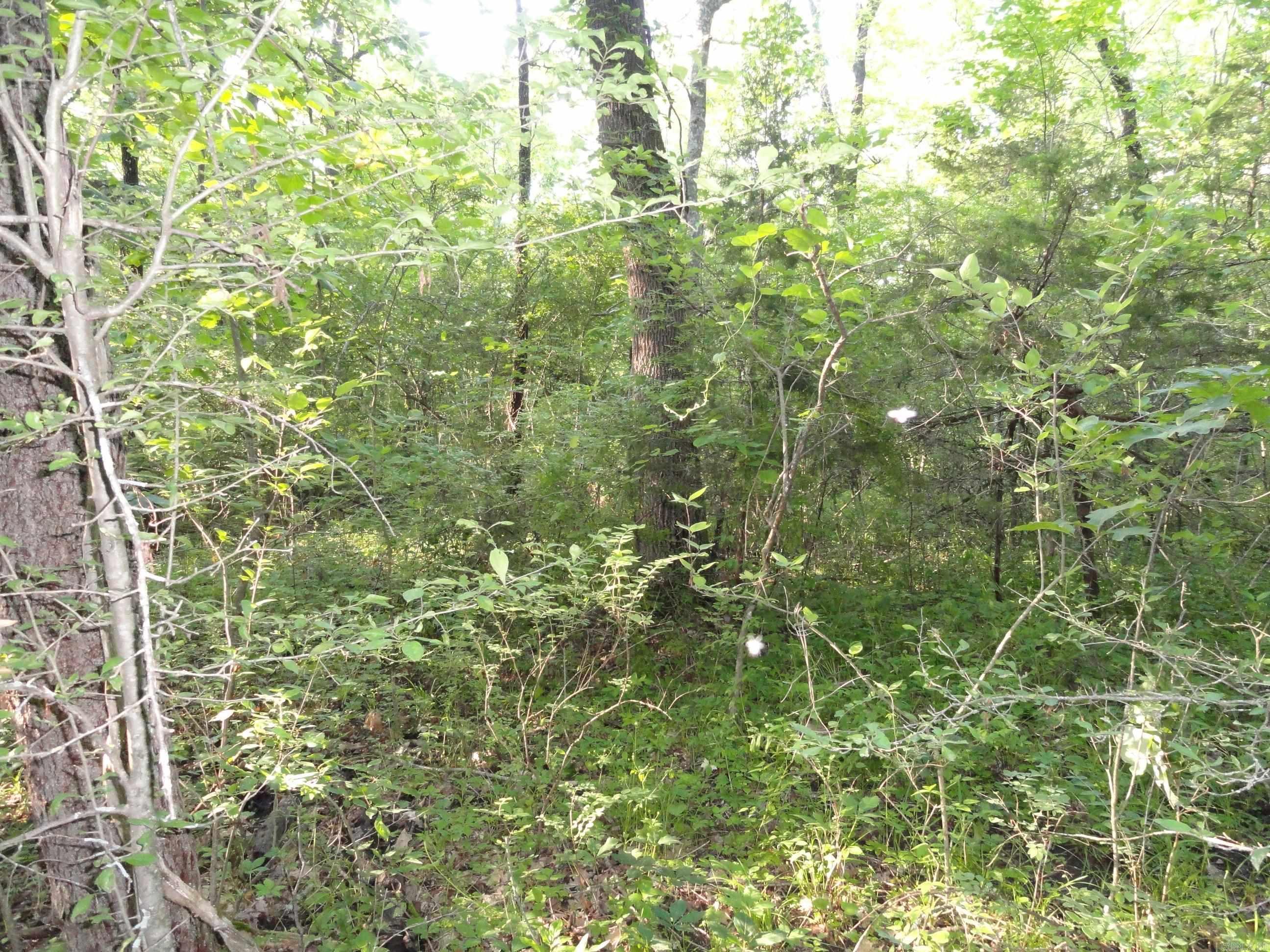 168 Reflections  Marshall, AR