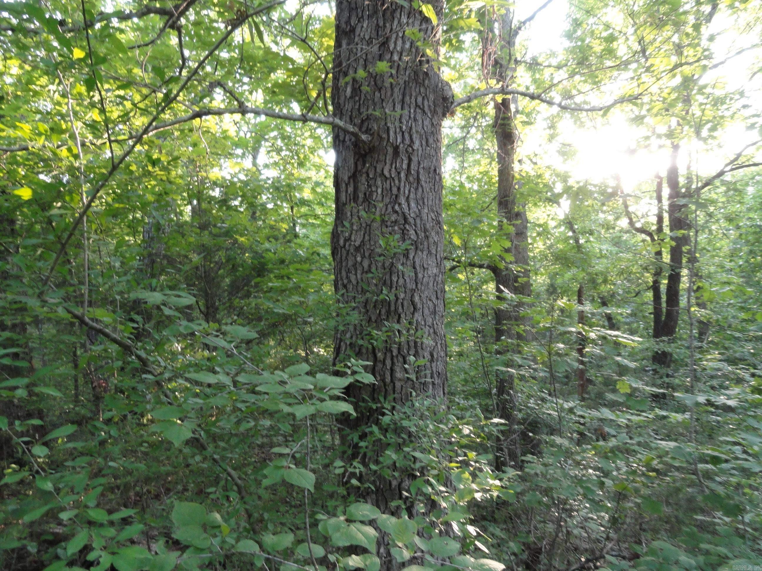 168 Reflections  Marshall, AR